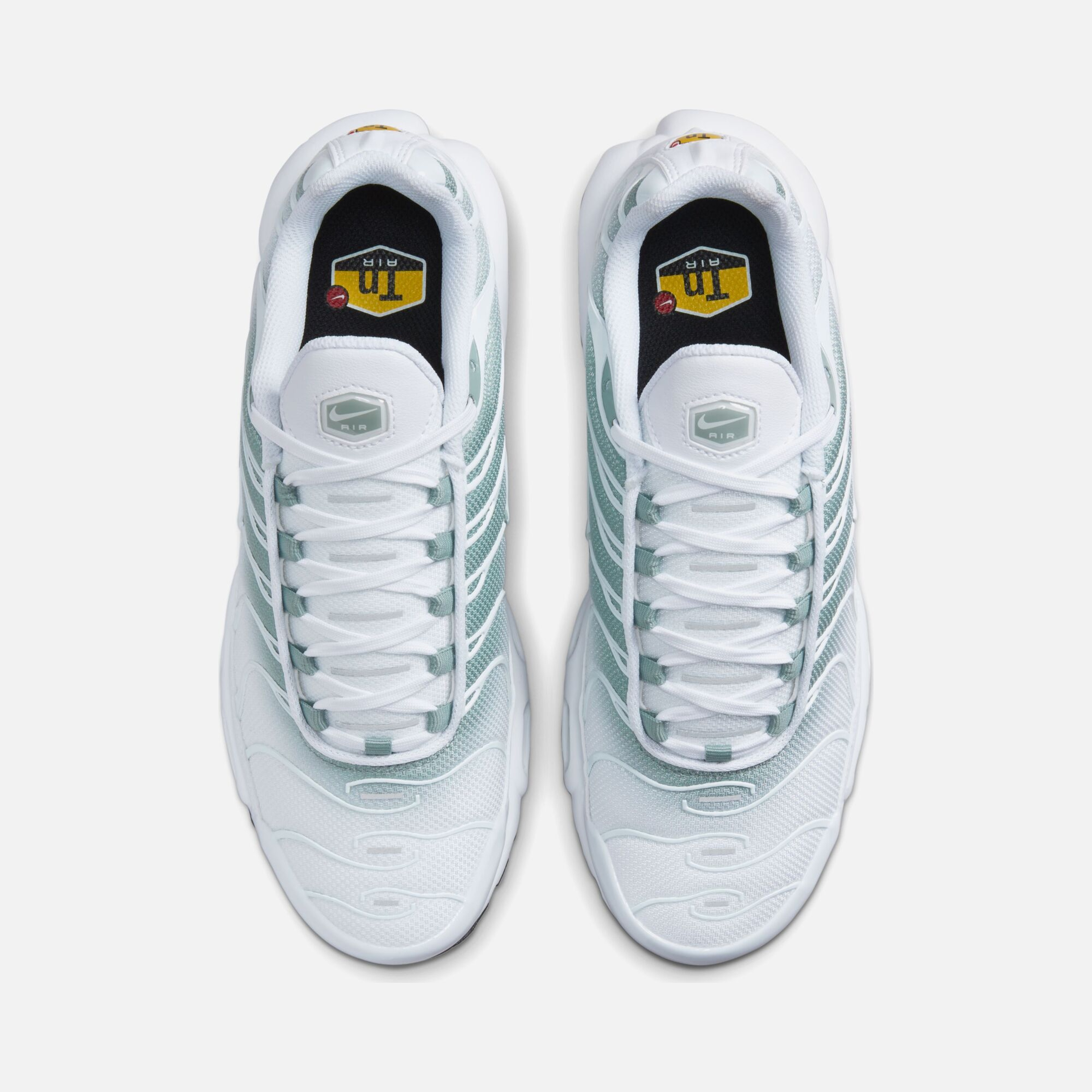 Nike Air Max Plus TN SS25 Kadın Spor Ayakkabı