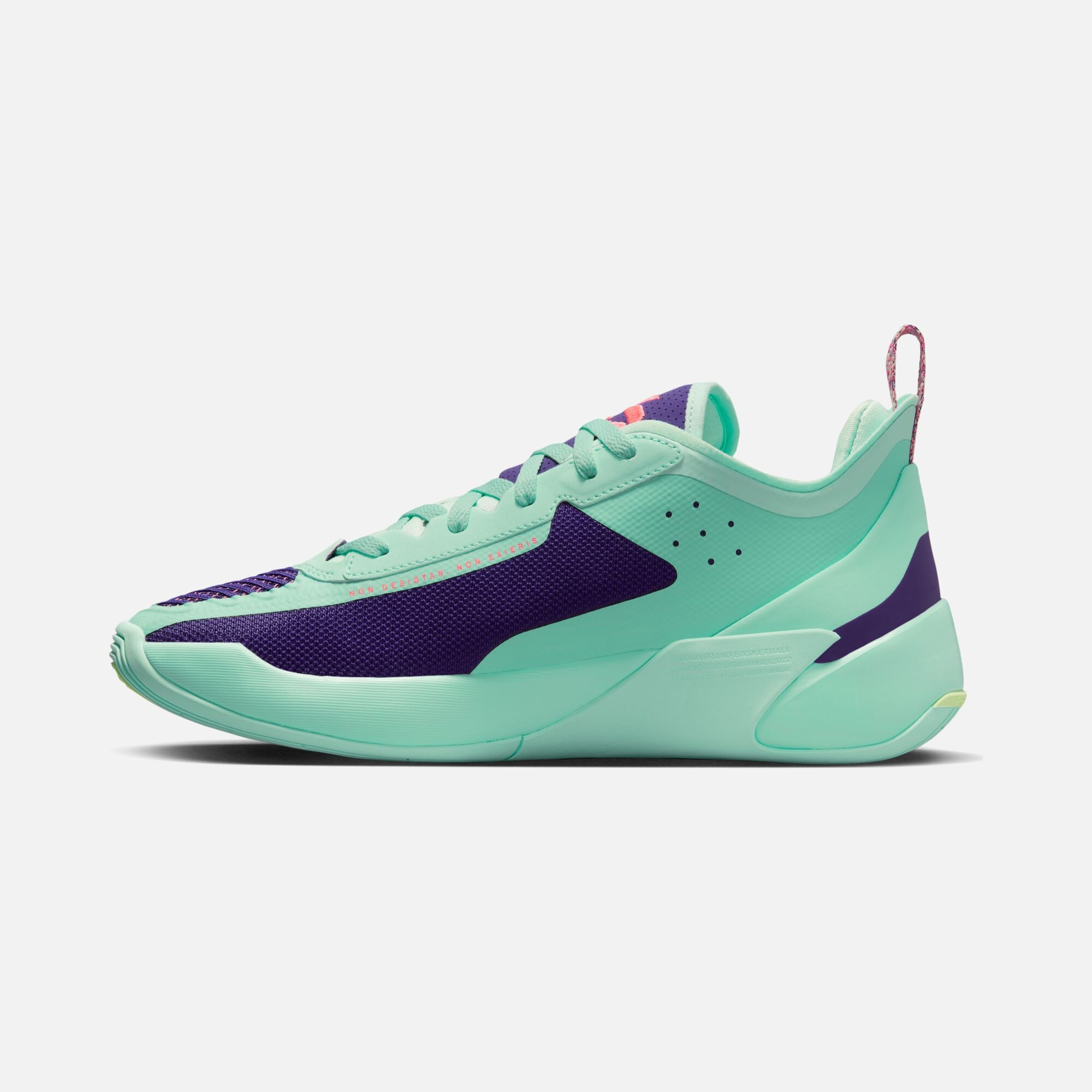 Nike Jordan Luka Doncic 1 Erkek Basketbol Ayakkabısı