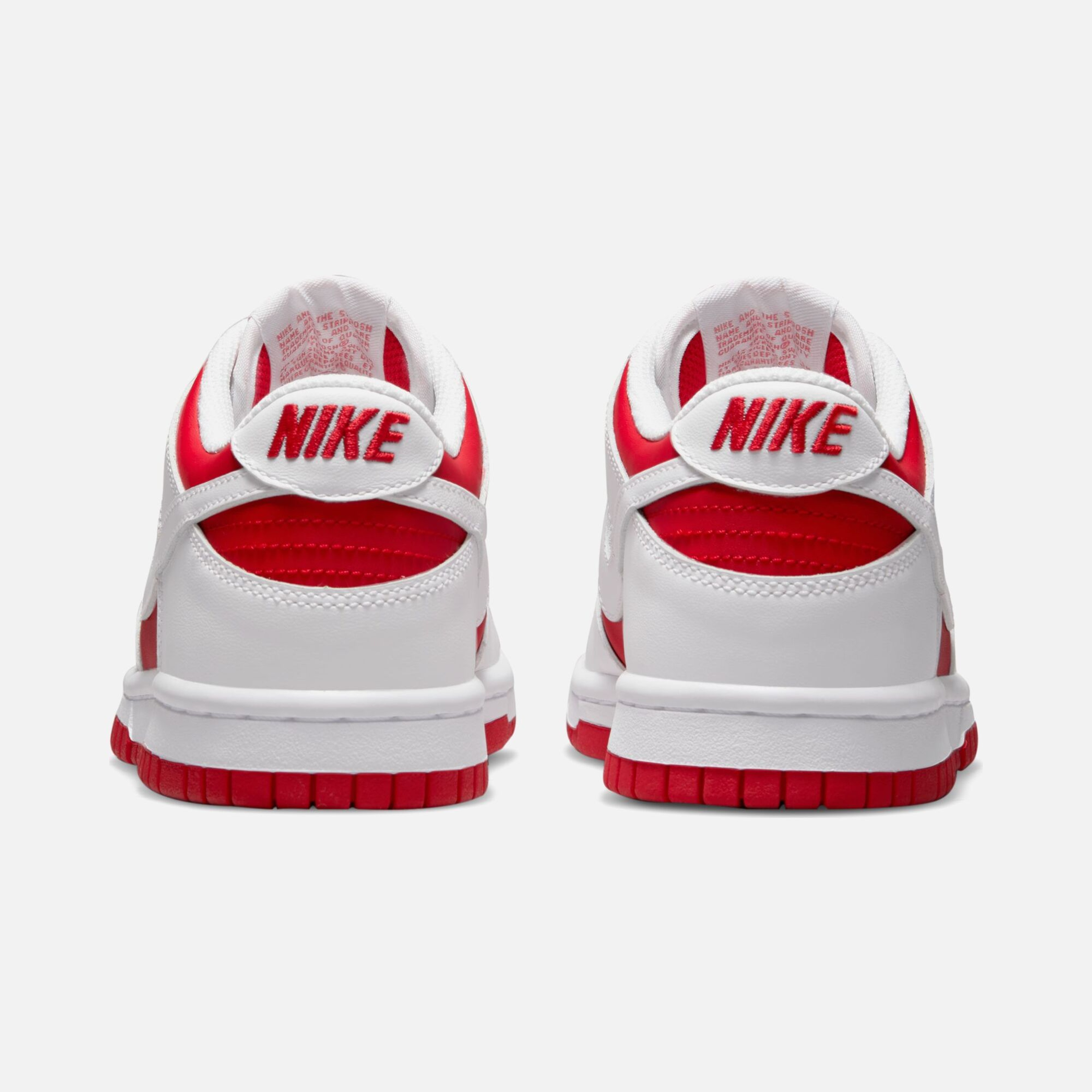 Nike Dunk Low CO (GS) Spor Ayakkabı