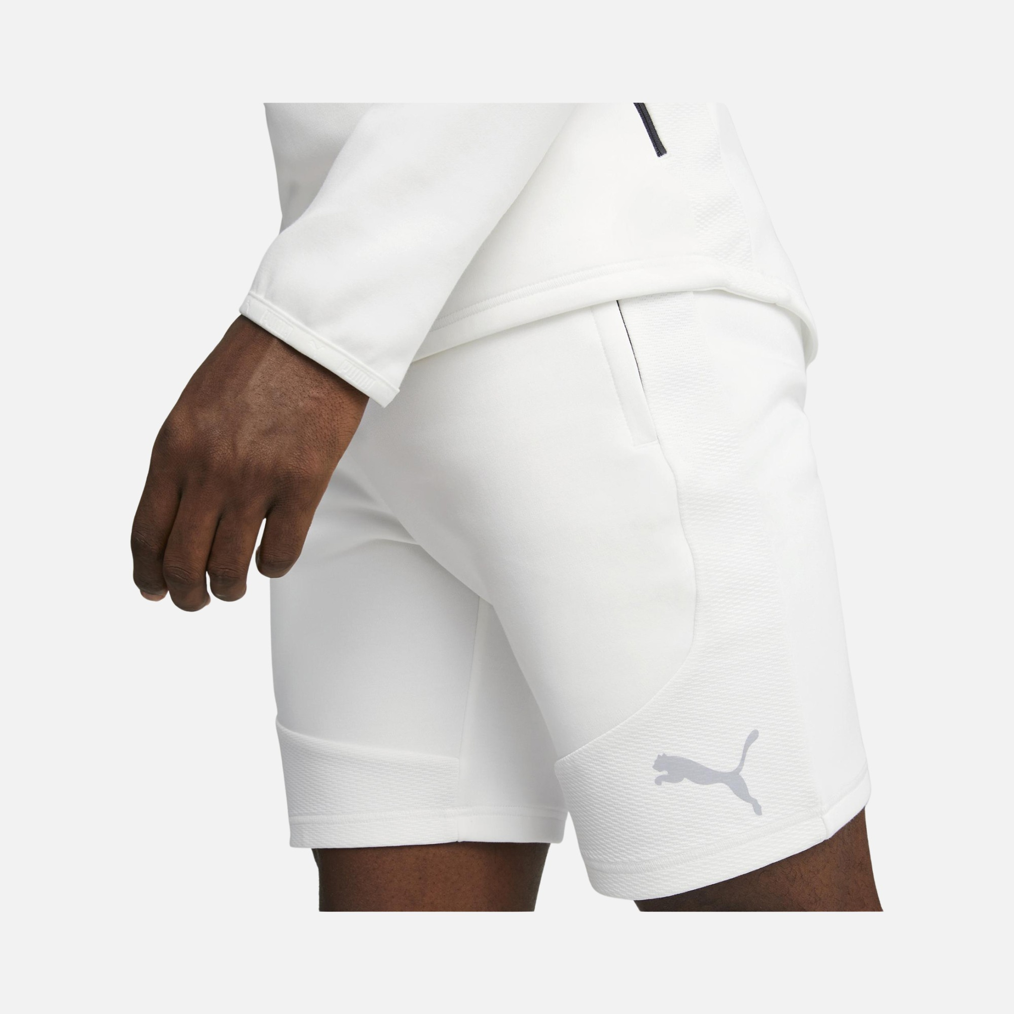 Puma Sportswear Evostripe Shorts 8" Erkek Şort