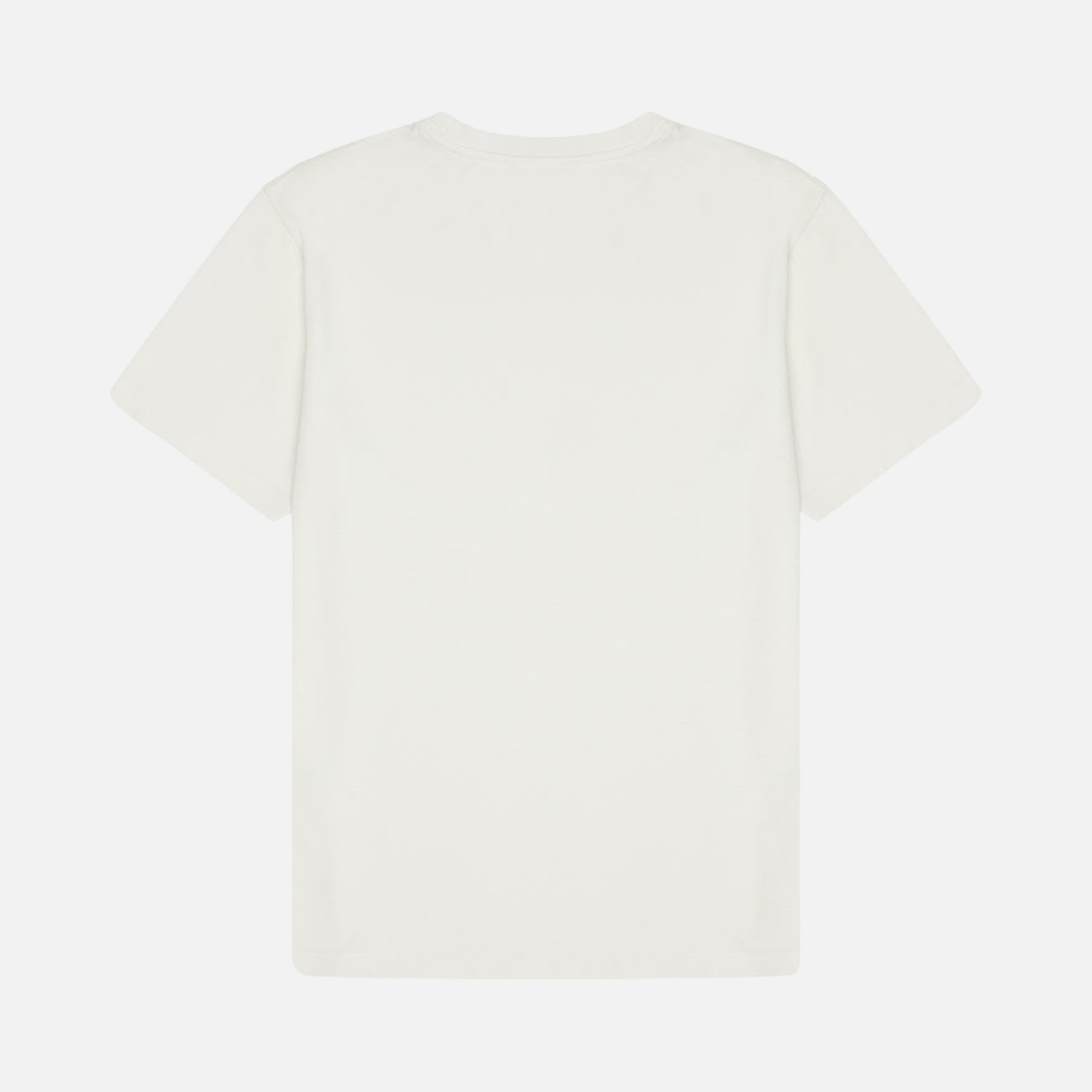 WWF Sportswear Living Planet Embroidered Oversize Short-Sleeve Unisex Tişört