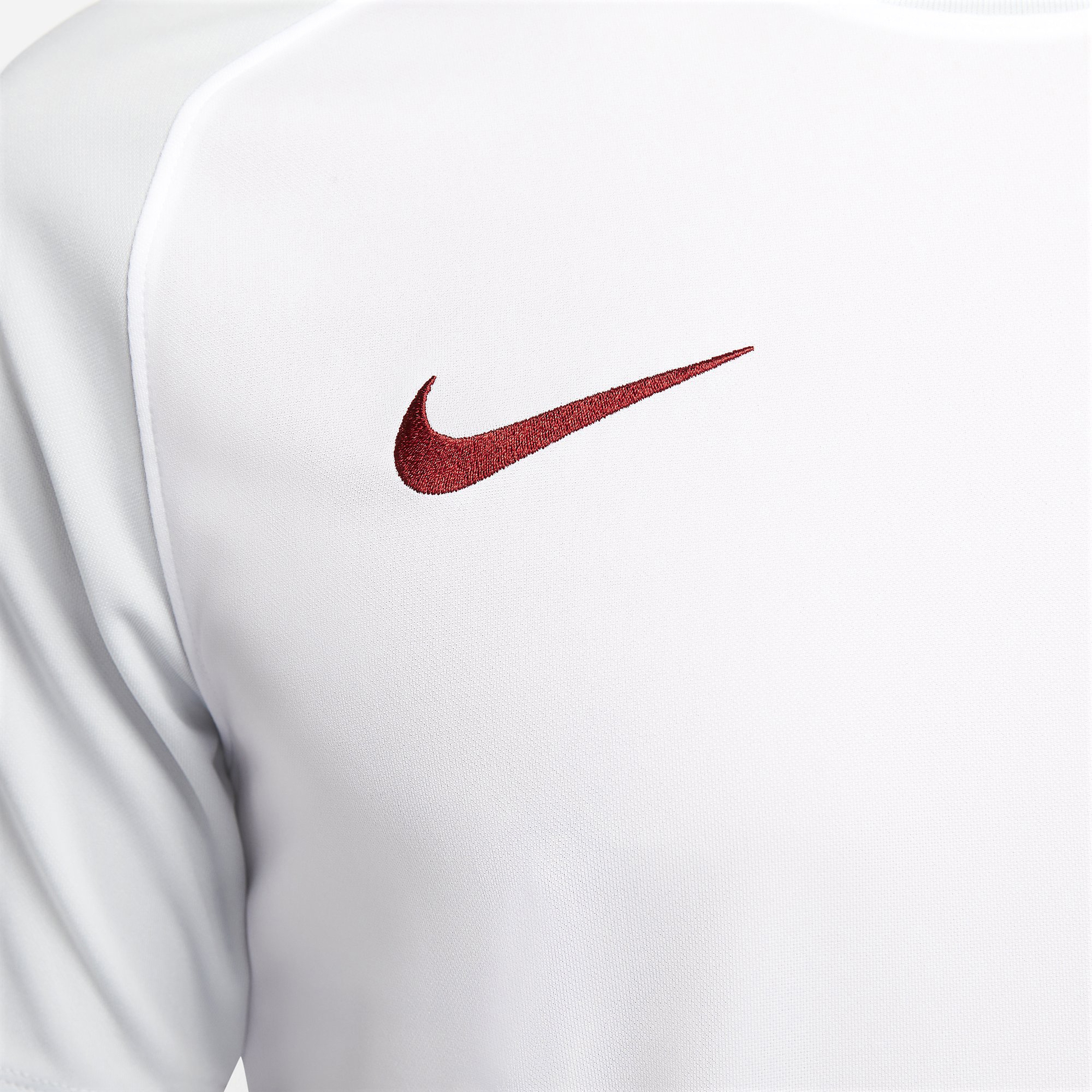 Nike Galatasaray Dri-Fit 2023-2024 Stadyum Deplasman Erkek Forma