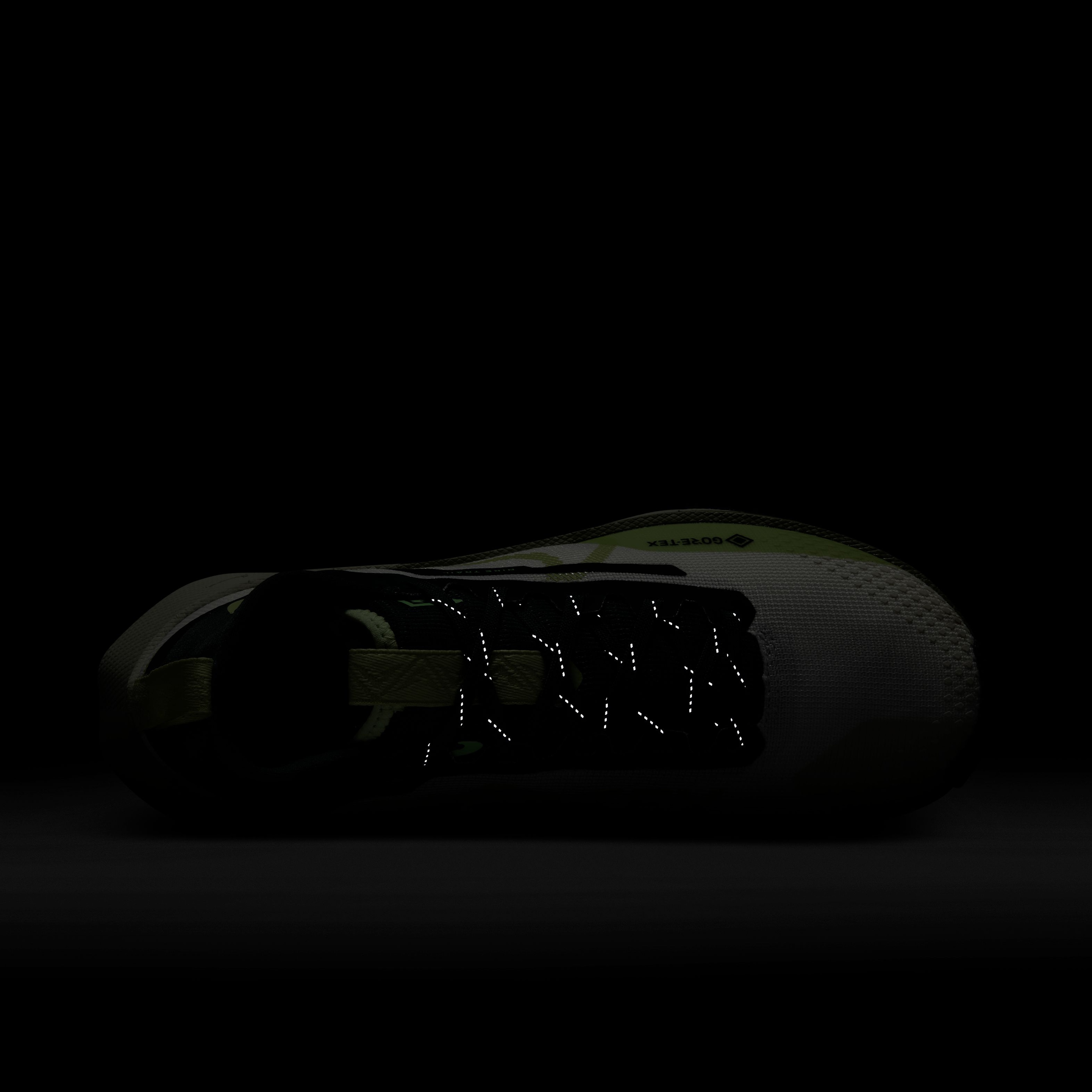 Nike React Pegasus Trail 4 Gore-Tex Kadın Spor Ayakkabı