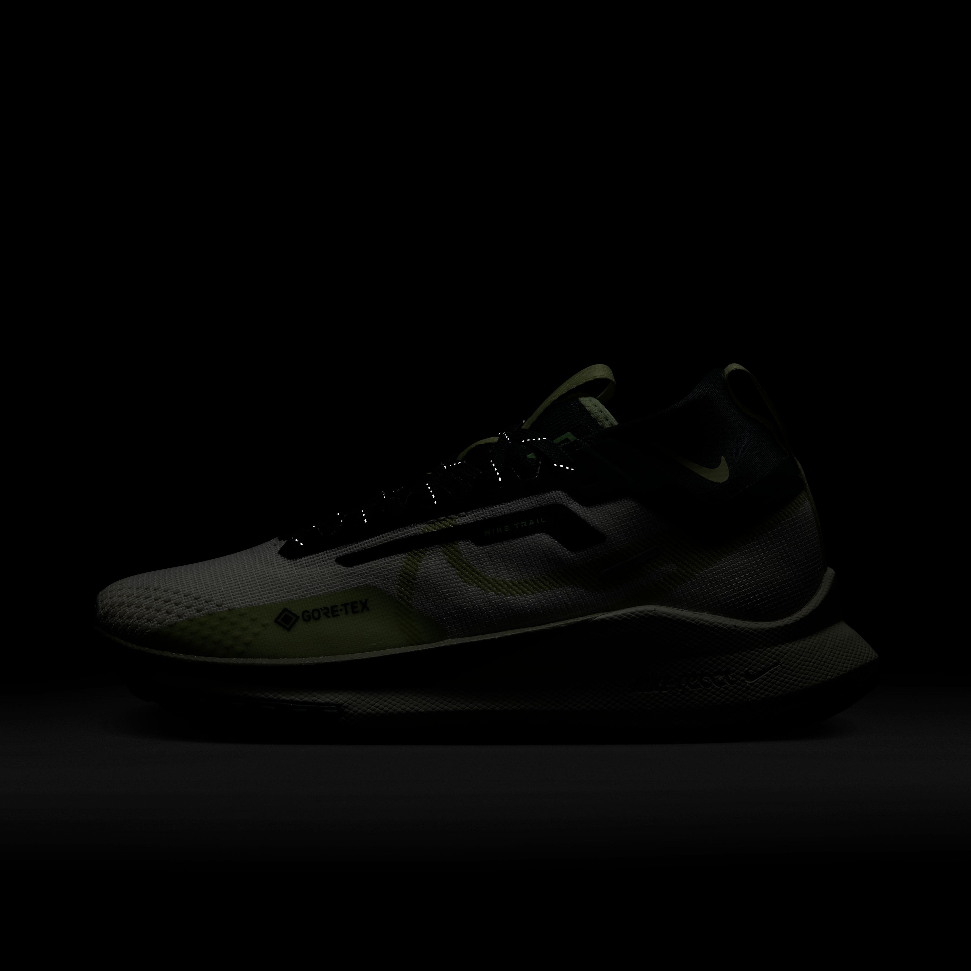 Nike React Pegasus Trail 4 Gore-Tex Kadın Spor Ayakkabı