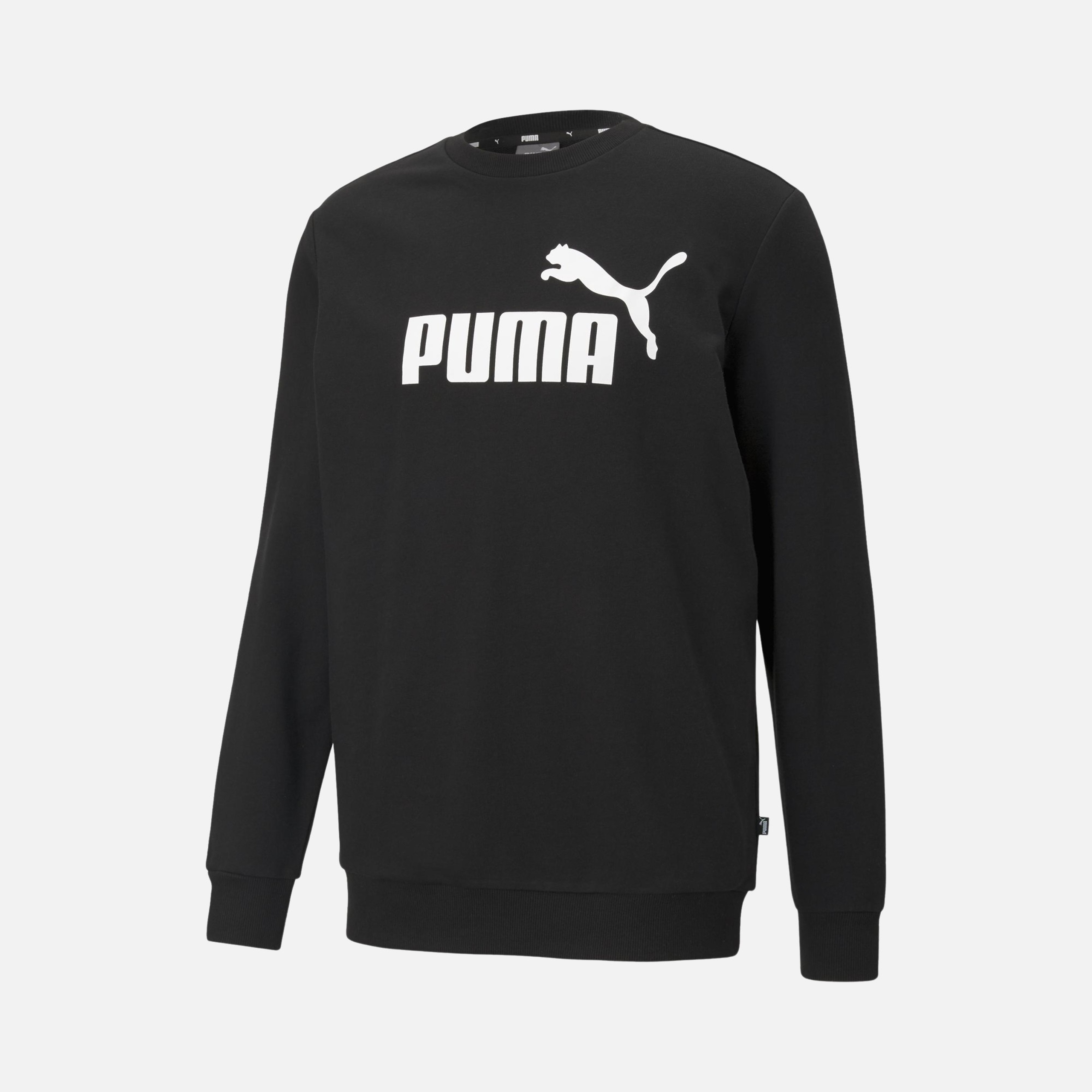 Puma Sportswear Essentials Logo Hoodie Erkek Sweatshirt