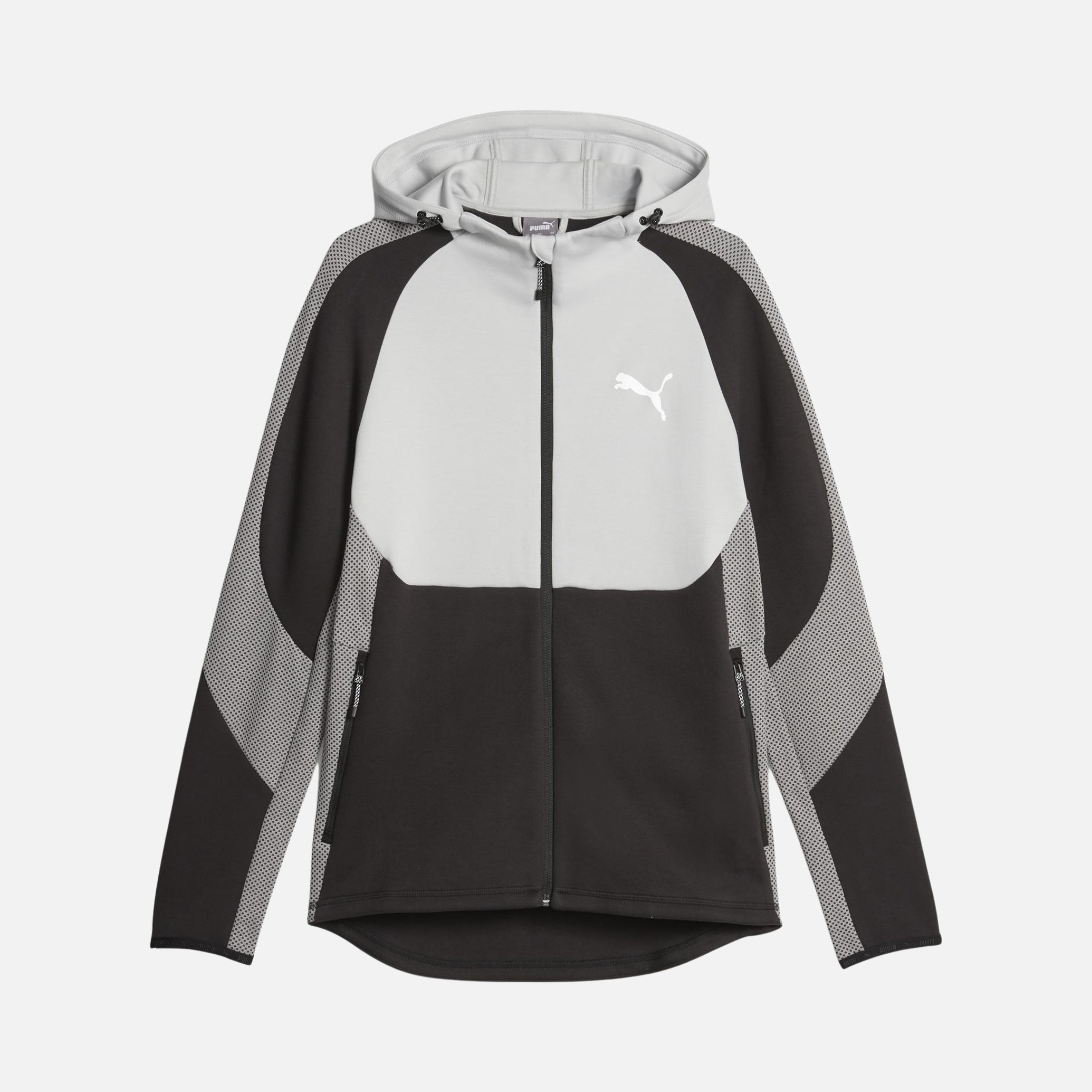 Puma Sportwear Evostripe Full-Zip Hoodie Erkek Sweatshirt