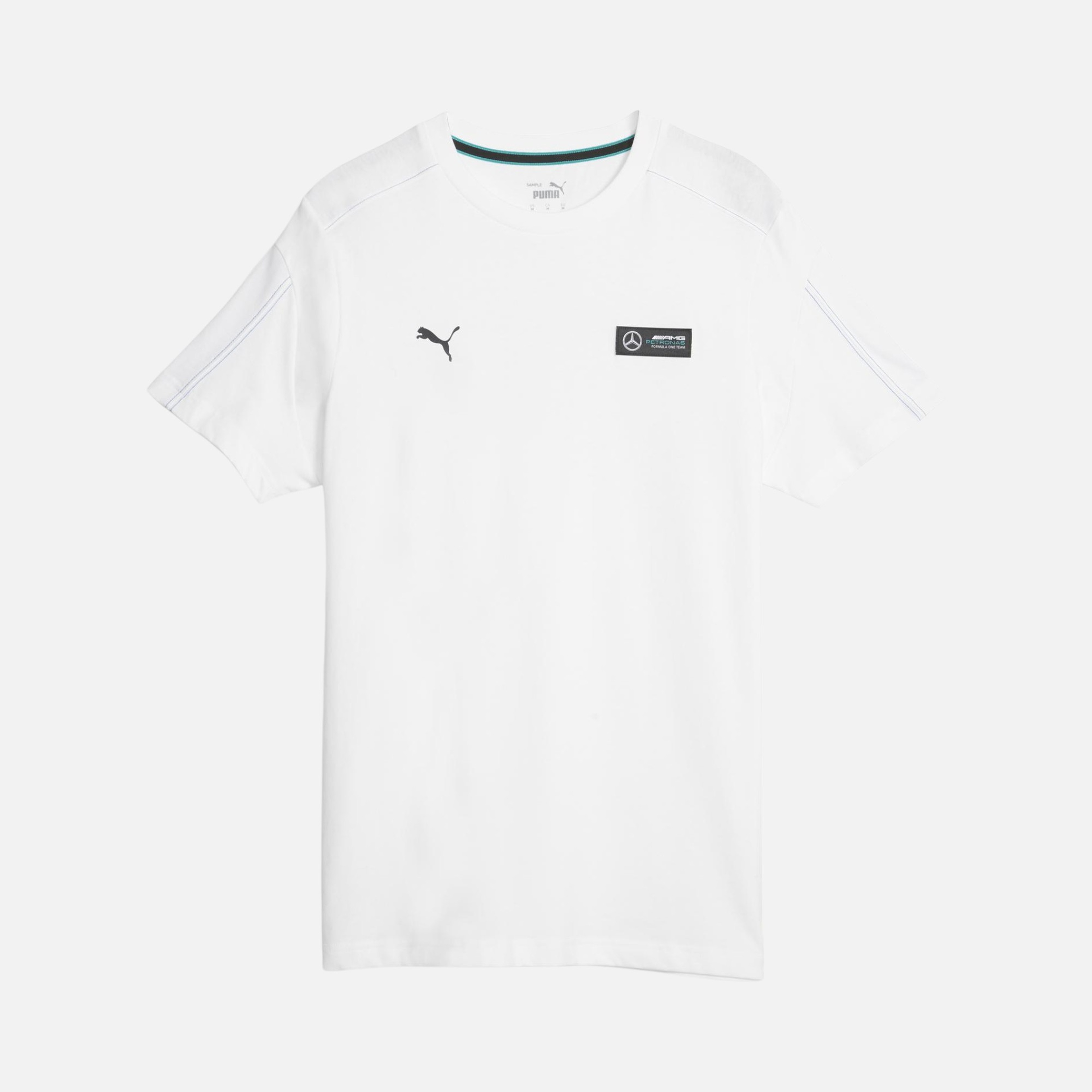 Puma Sportswear Mercedes-AMG Petronas Motorsport F1 Graphic Short-Seeve Erkek Tişört