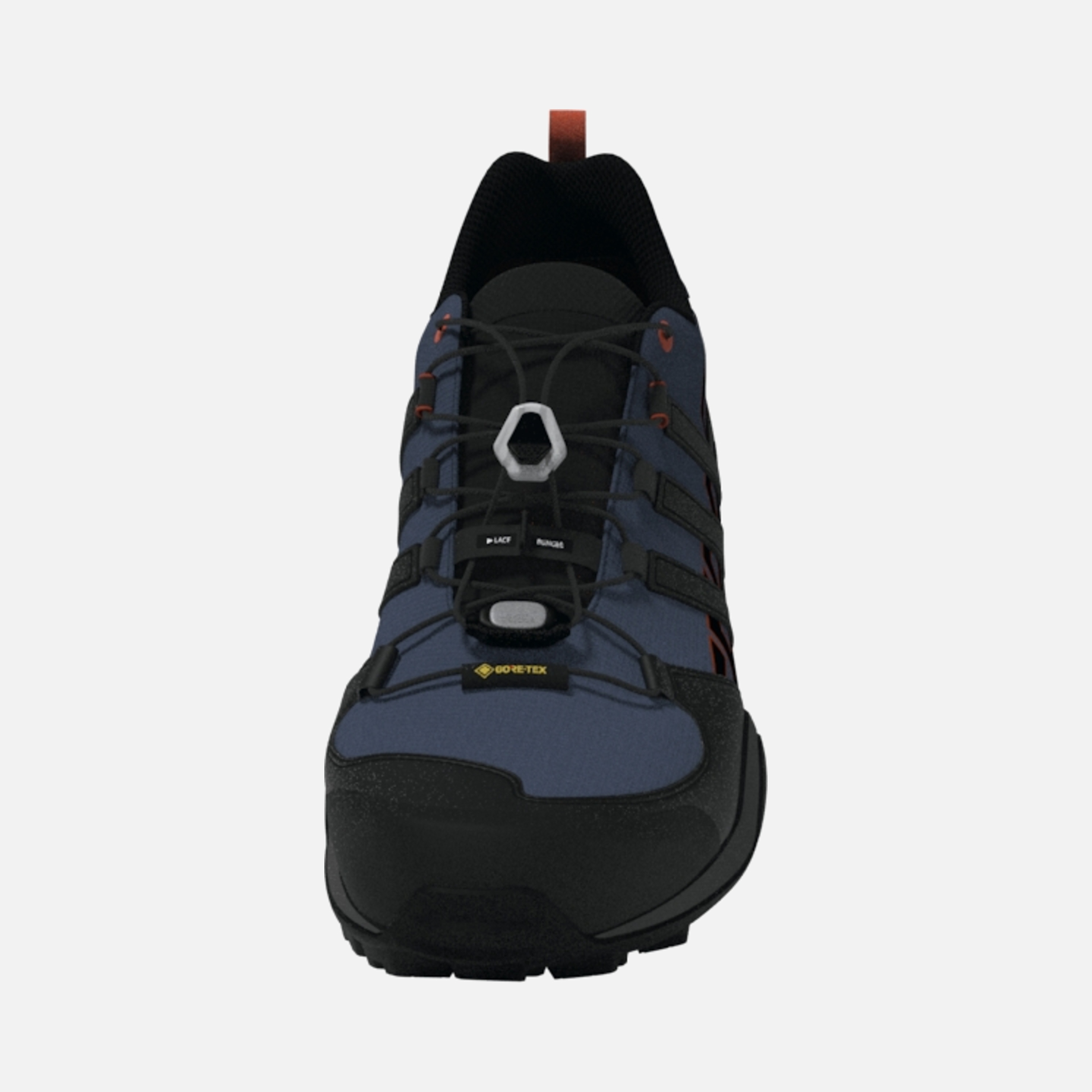 adidas Terrex Swift R2 Gore-Tex Hiking '24 Erkek Spor Ayakkabı