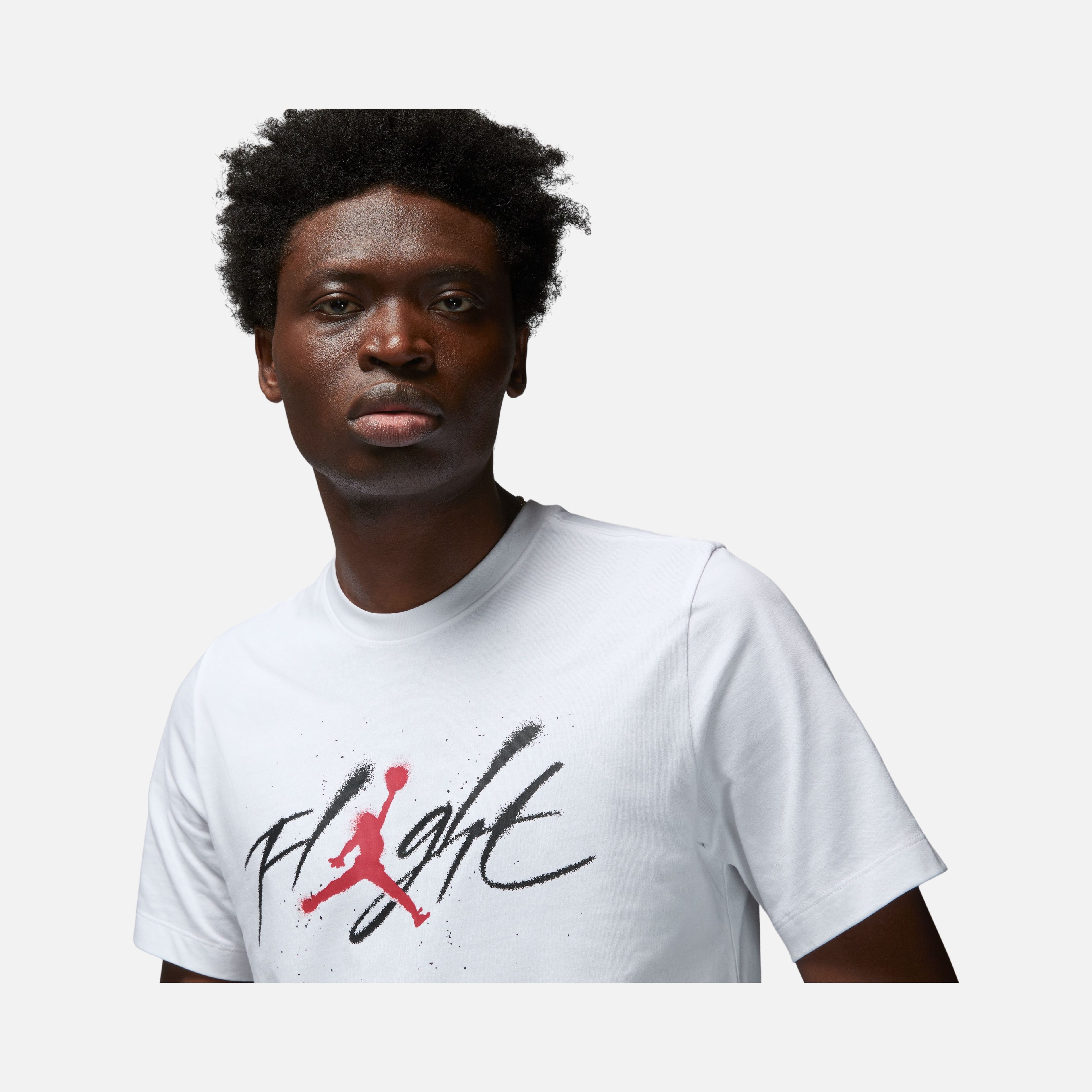 Nike Jordan Flight Graphics Crew 2 Short-Sleeve Erkek Tişört