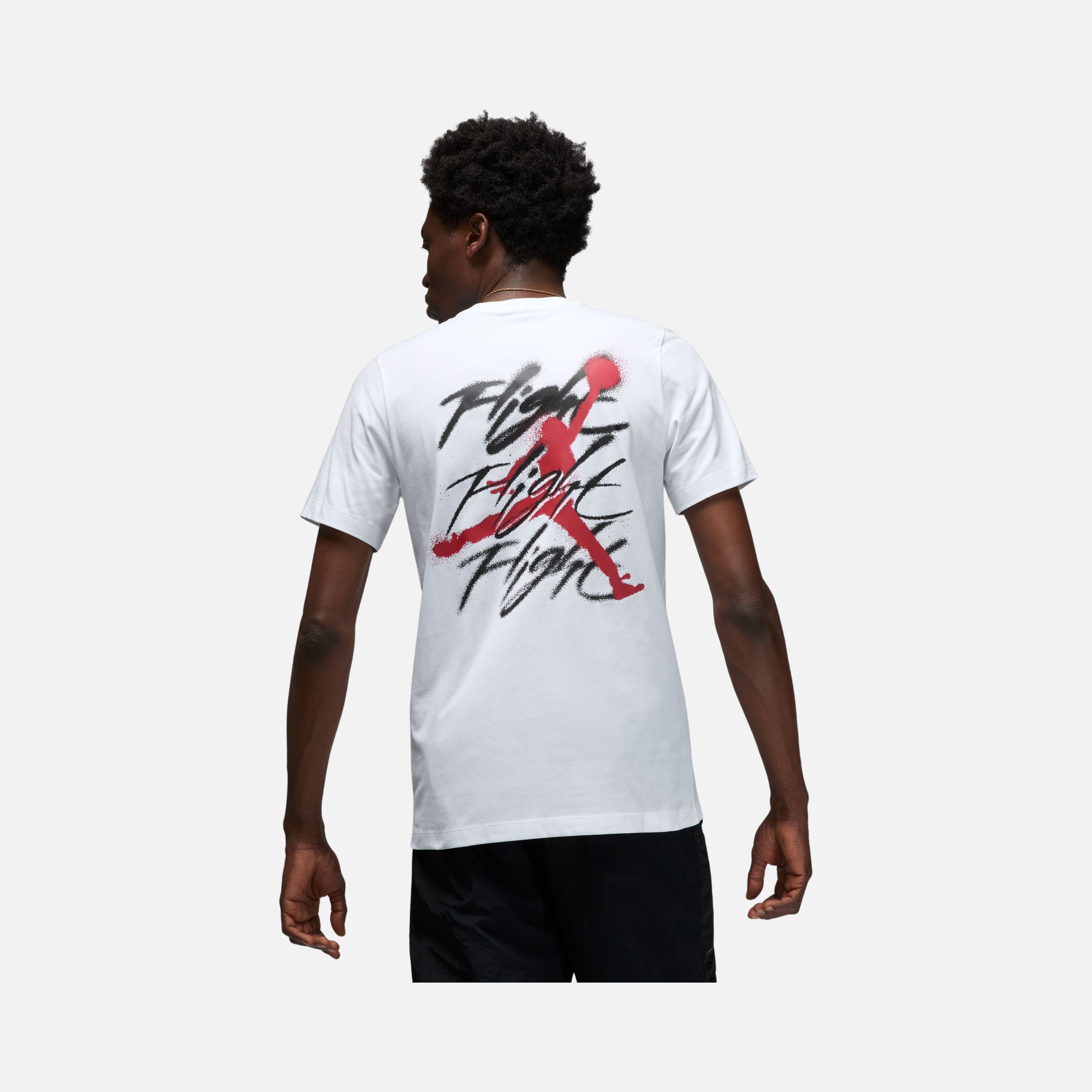 Nike Jordan Flight Graphics Crew 2 Short-Sleeve Erkek Tişört