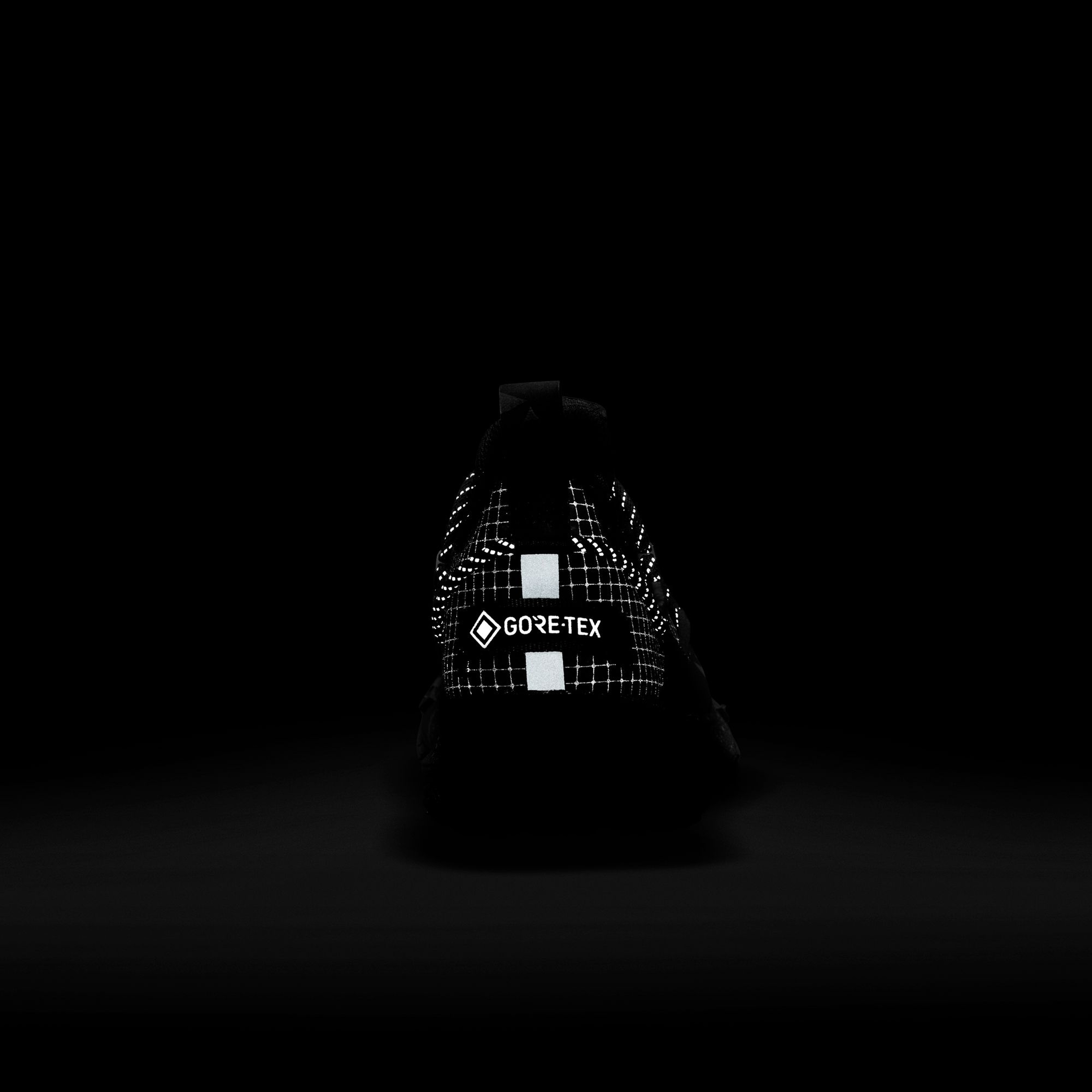 Nike ACG Mountain Fly Low Gore-Tex SE Erkek Spor Ayakkabı