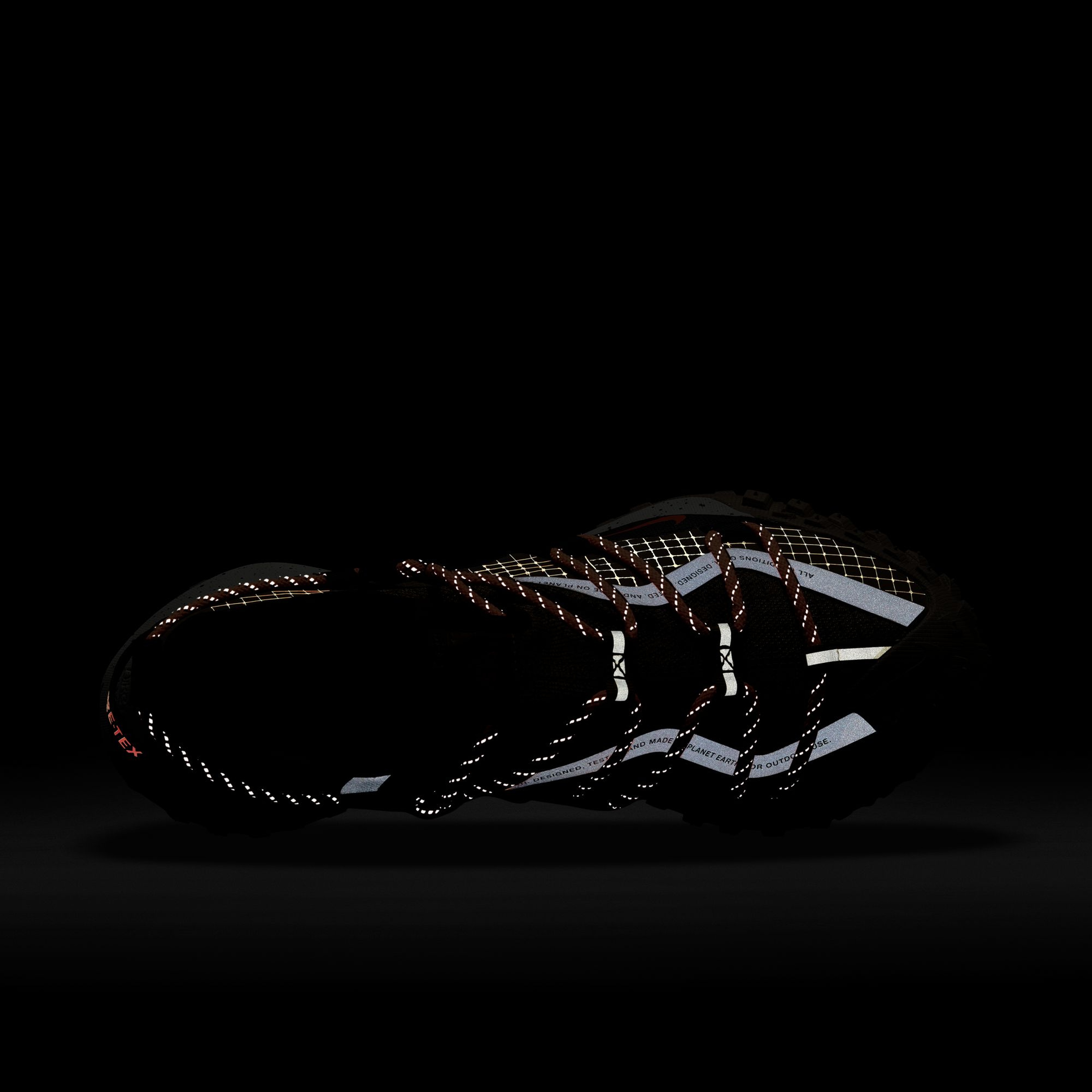 Nike ACG Mountain Fly Low Gore-Tex SE Erkek Spor Ayakkabı