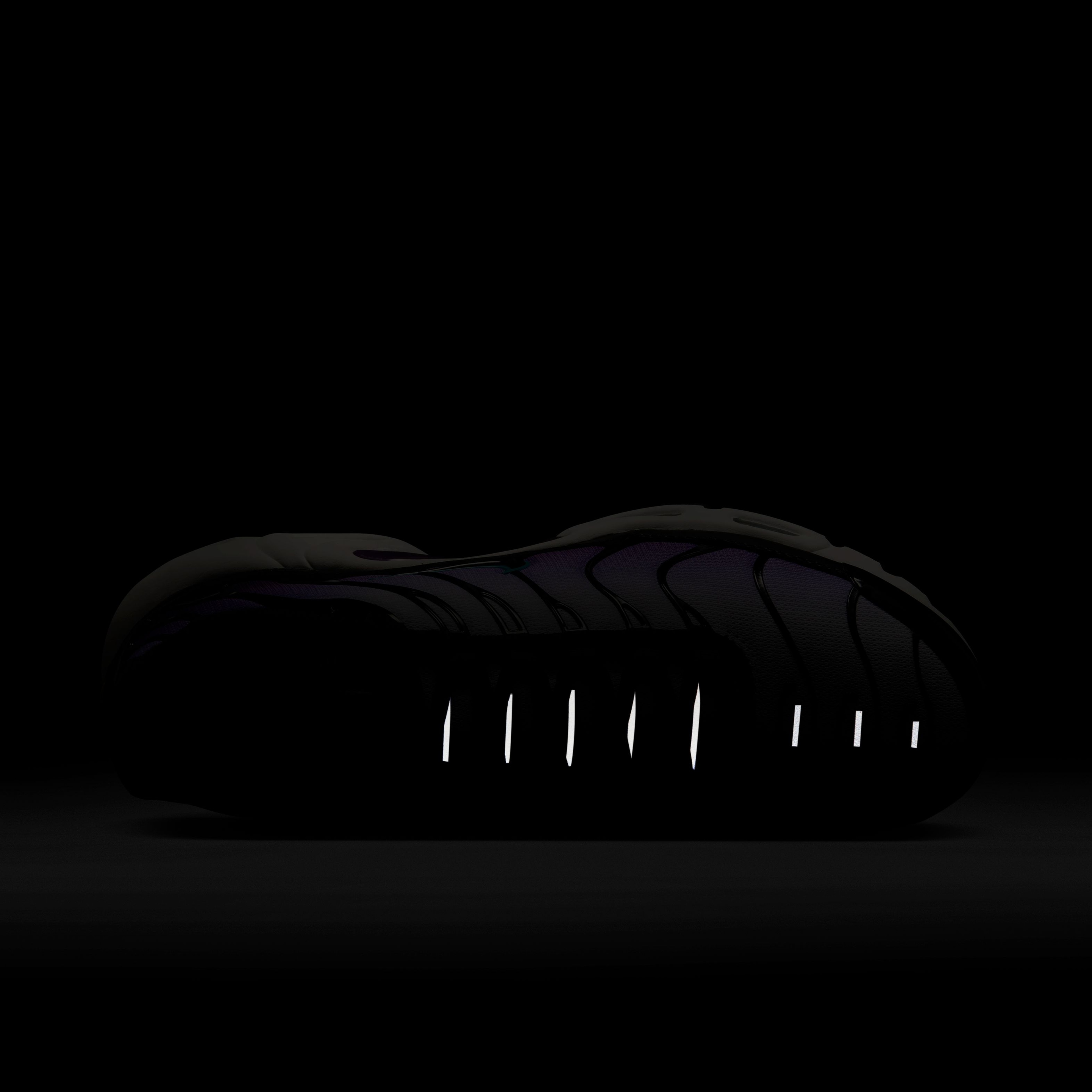 Nike Sportswear Air Max Plus TN FA23 Erkek Spor Ayakkabı