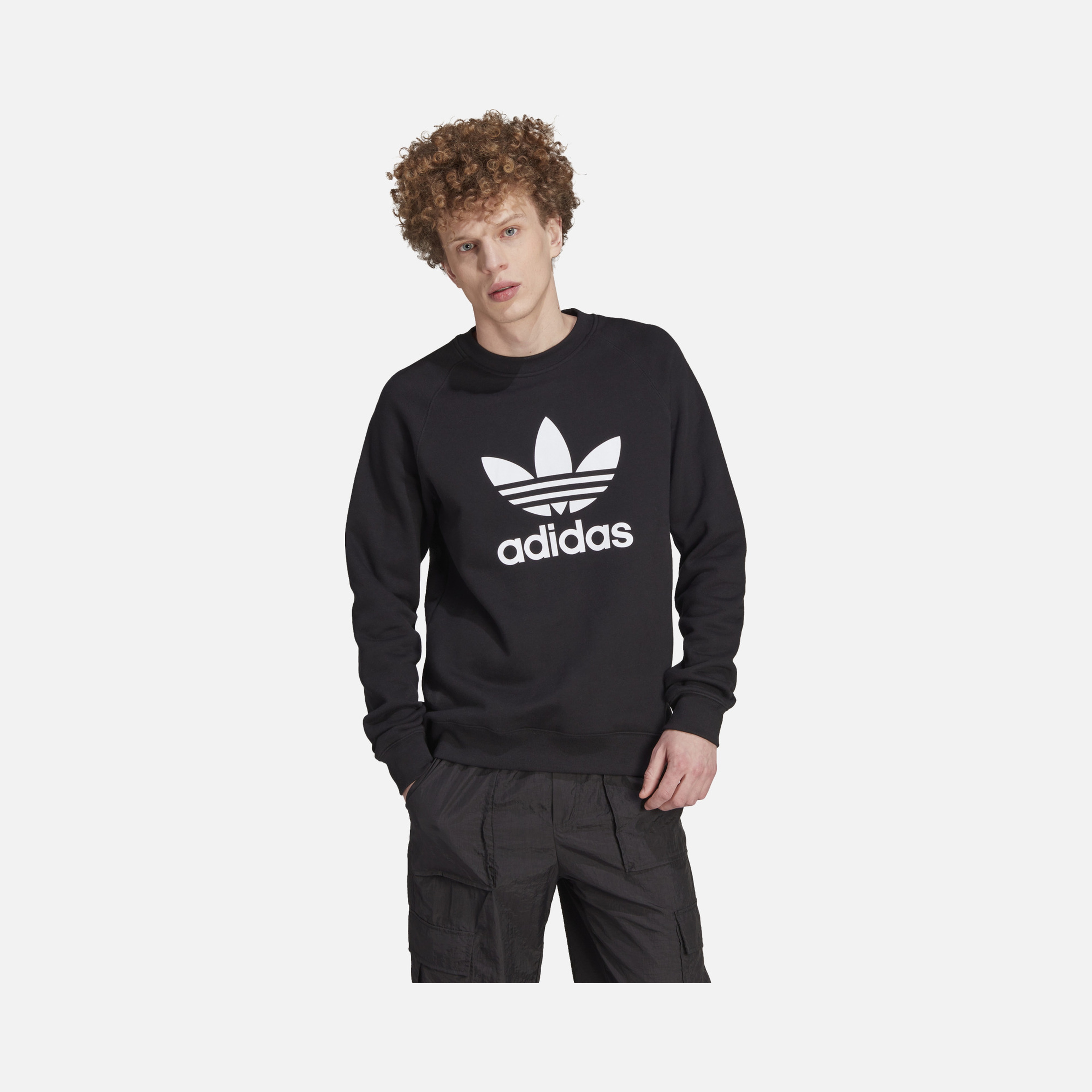 adidas Sportswaer Adicolor Classics Trefoil Crewneck Hoodie Erkek Sweatshirt