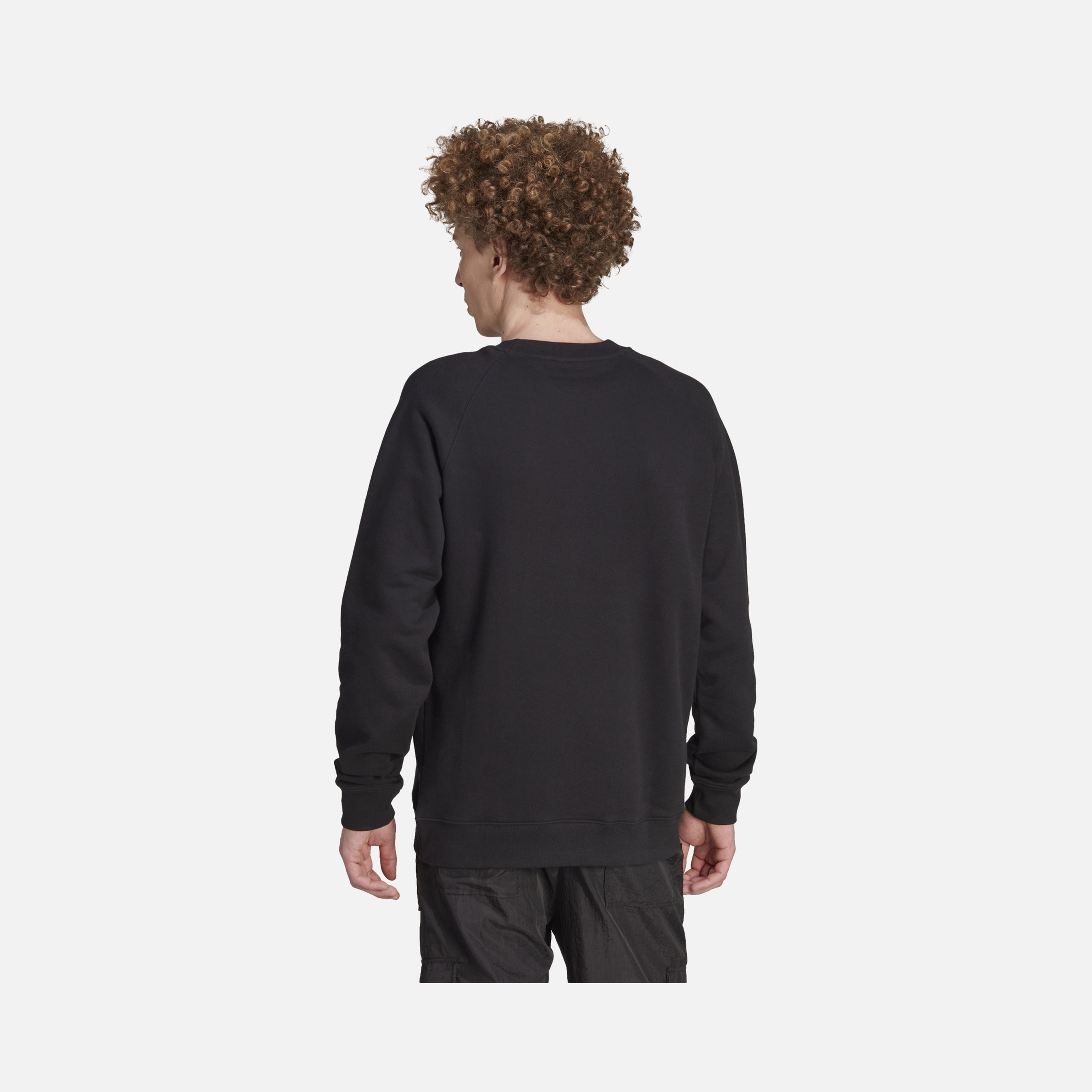 adidas Sportswaer Adicolor Classics Trefoil Crewneck Hoodie Erkek Sweatshirt