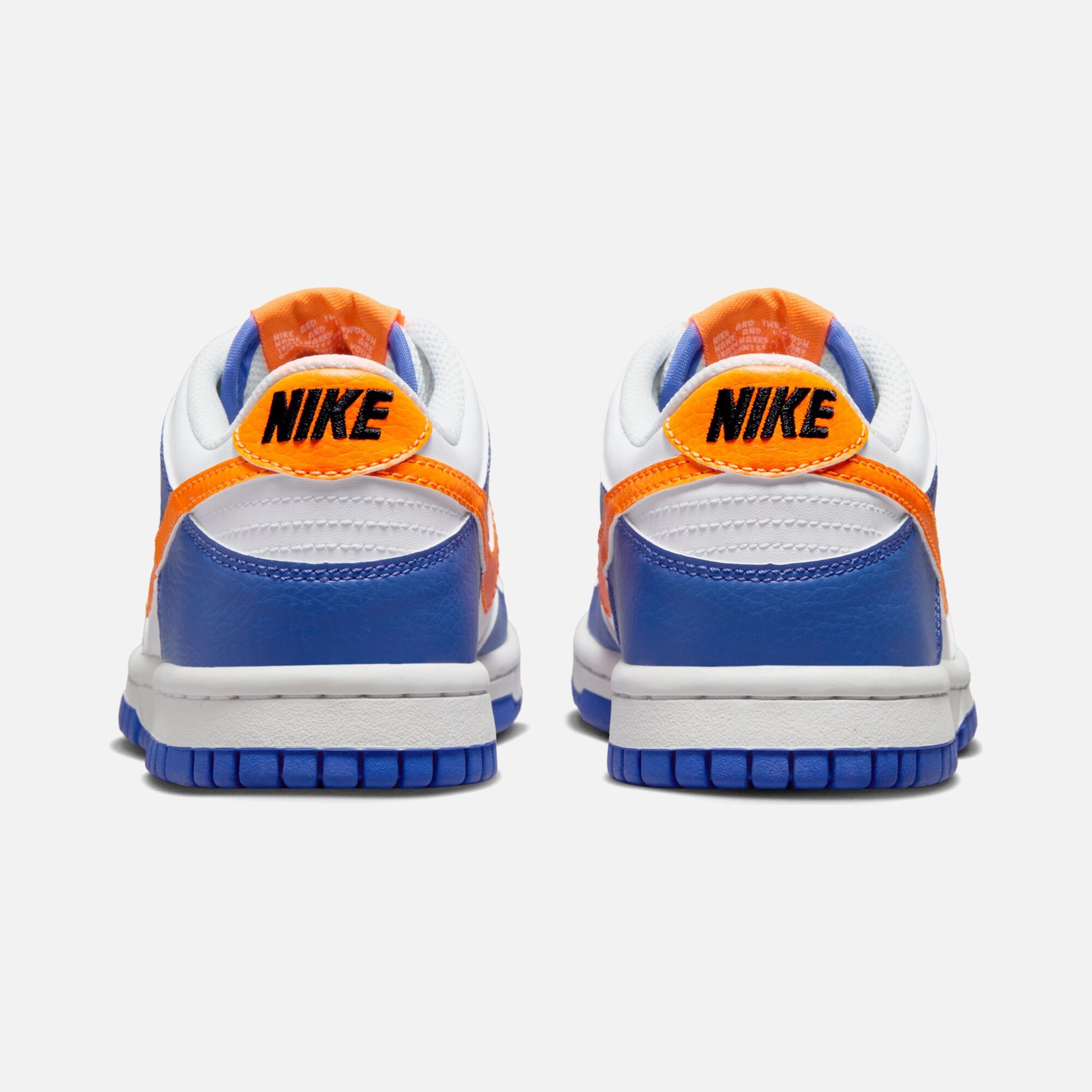 Nike Dunk Low FW23 (GS) Spor Ayakkabı | Barçın