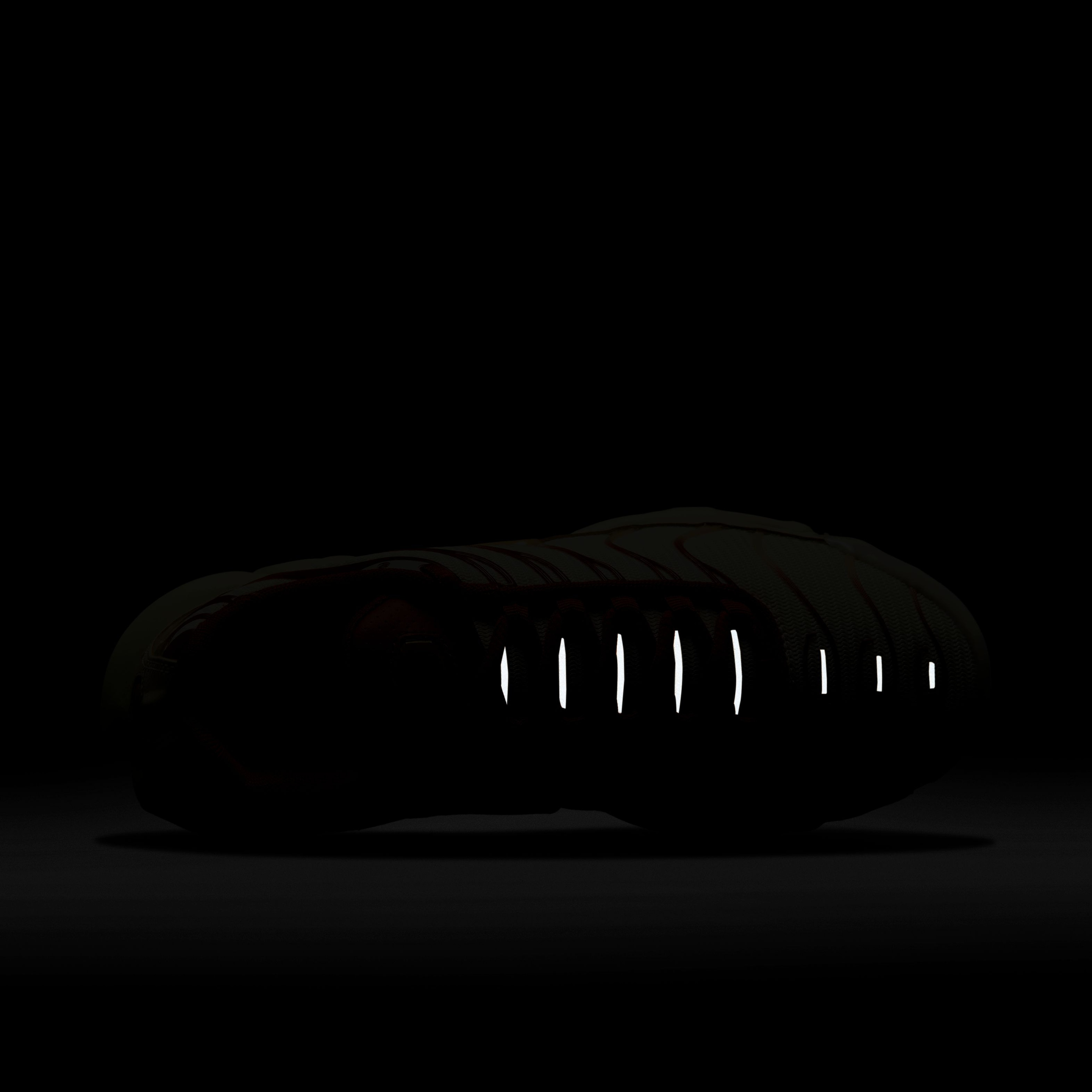 Nike Sportswear Air Max Plus TN Kadın Spor Ayakkabı