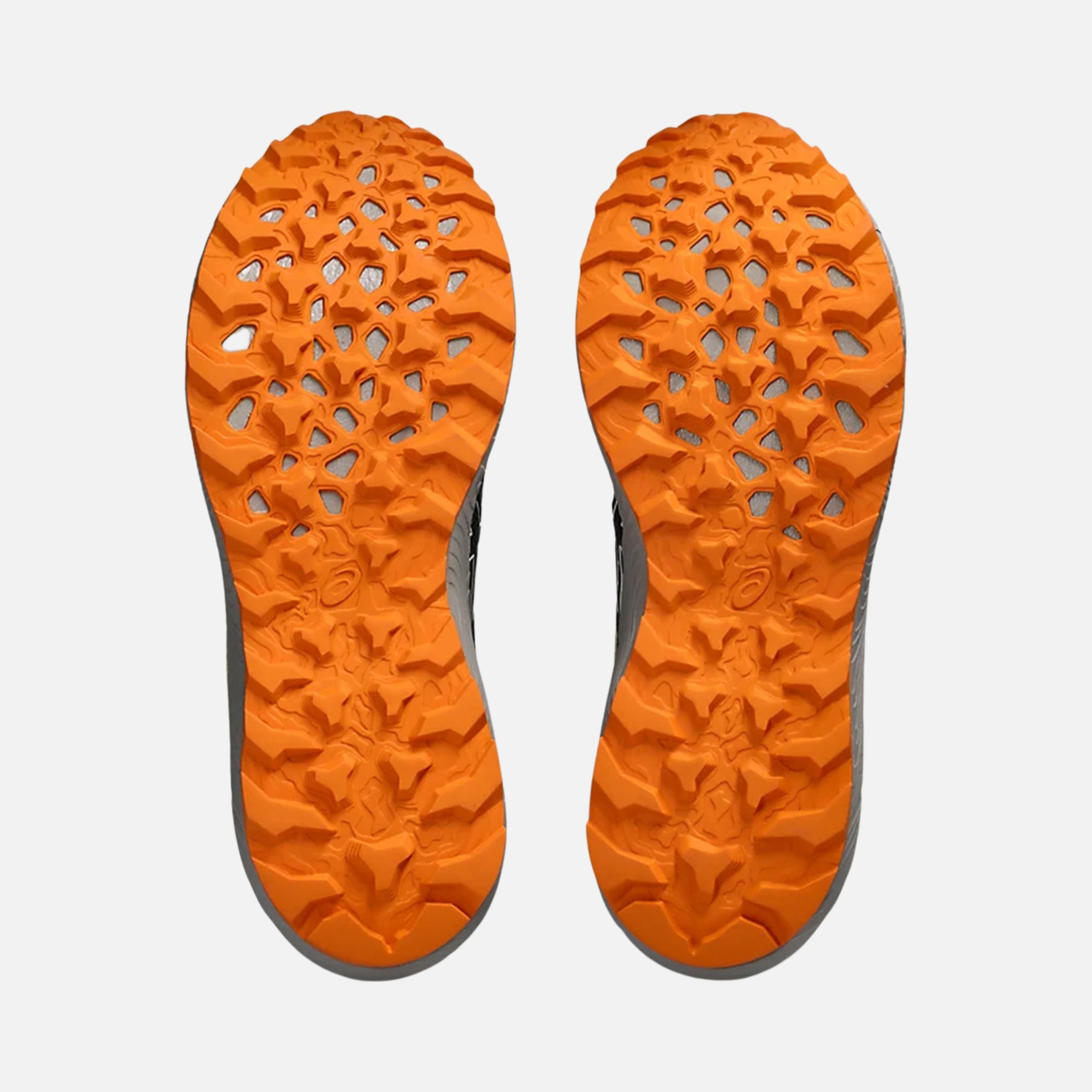 Asics Gel-Sonoma 7 Gore-Tex Road Running Erkek Spor Ayakkabı