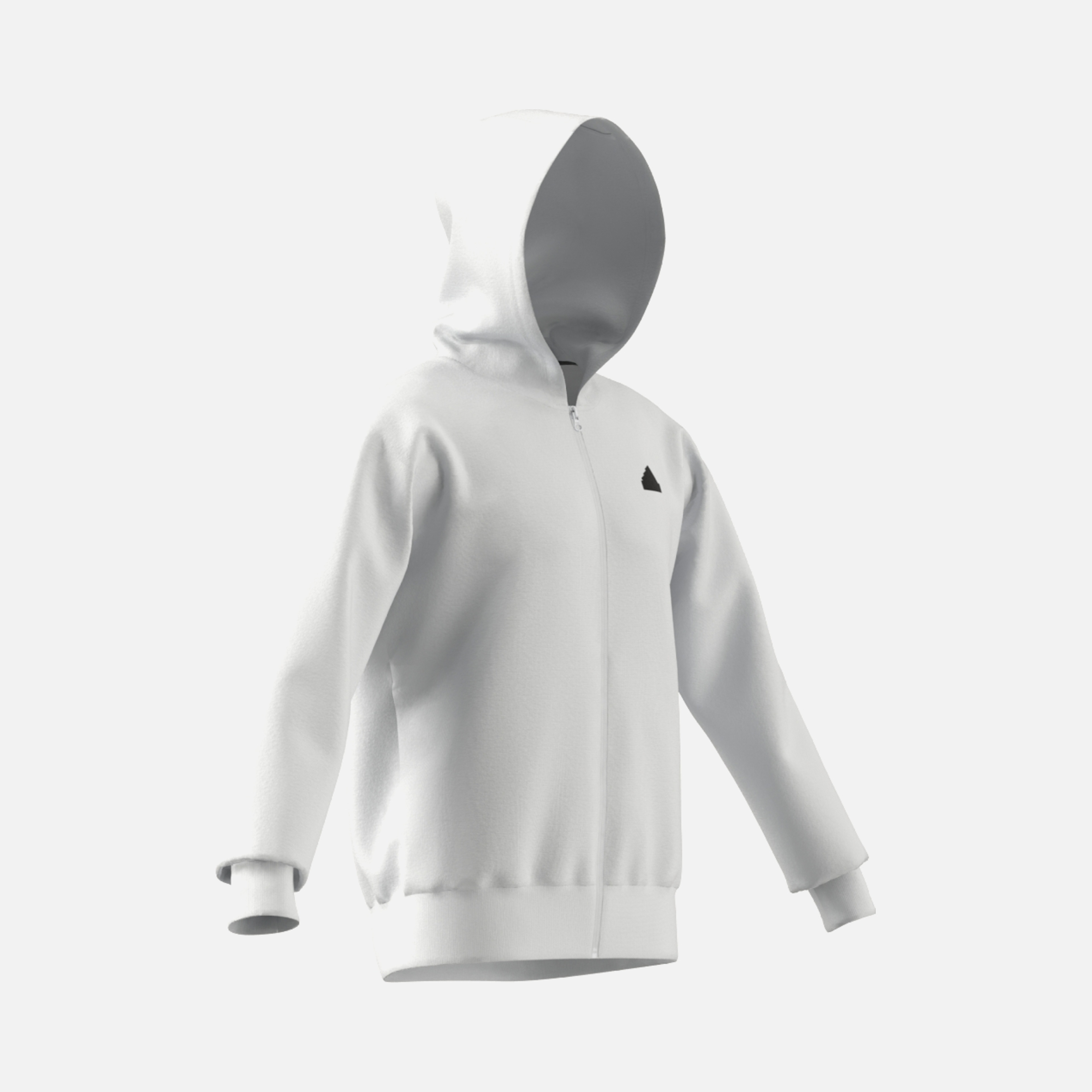 adidas Sportswear Future Icons Badge of Sport Full-Zip Hoodie Erkek Sweatshirt