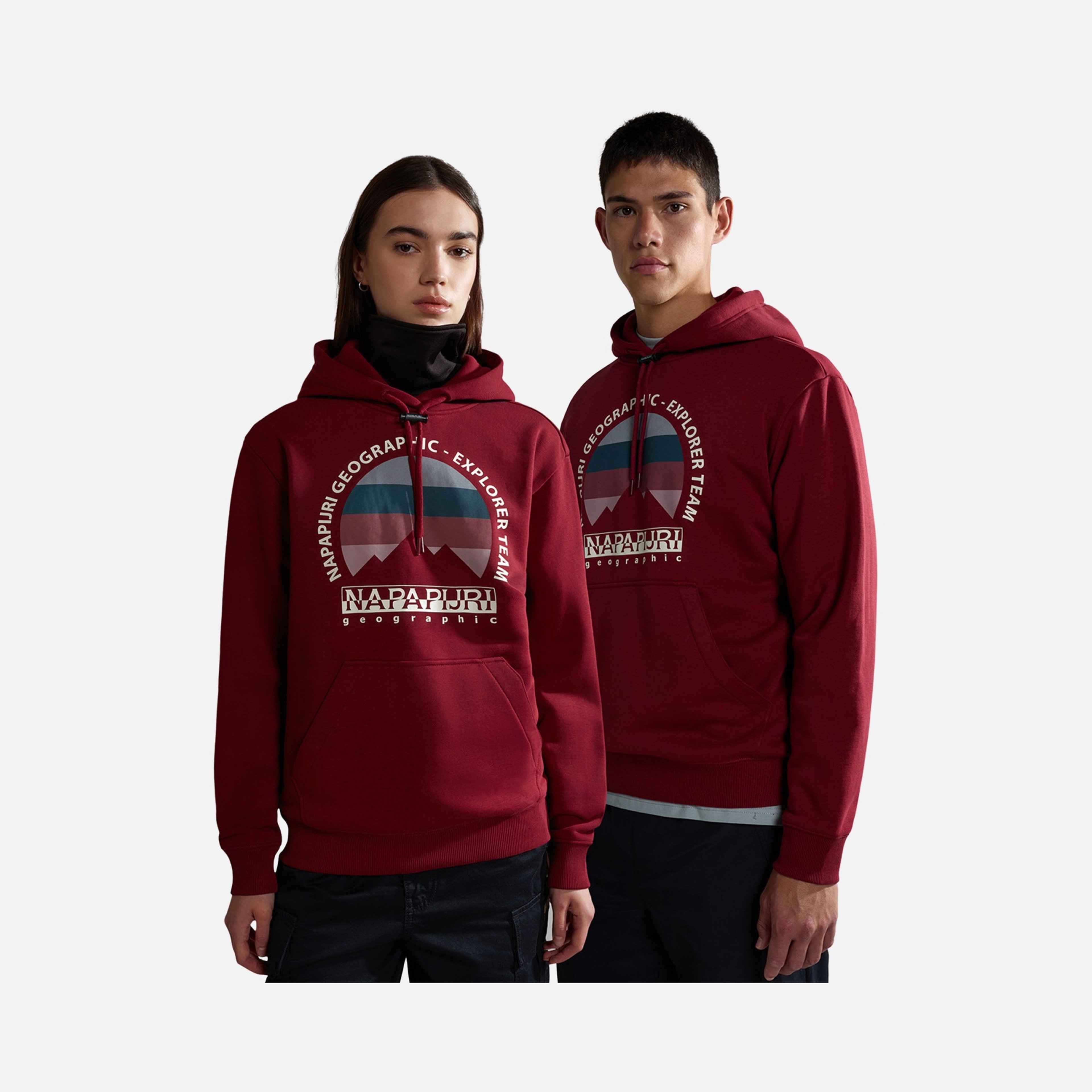 Napapijri Sportswear Telemark Hoodie Erkek Sweatshirt