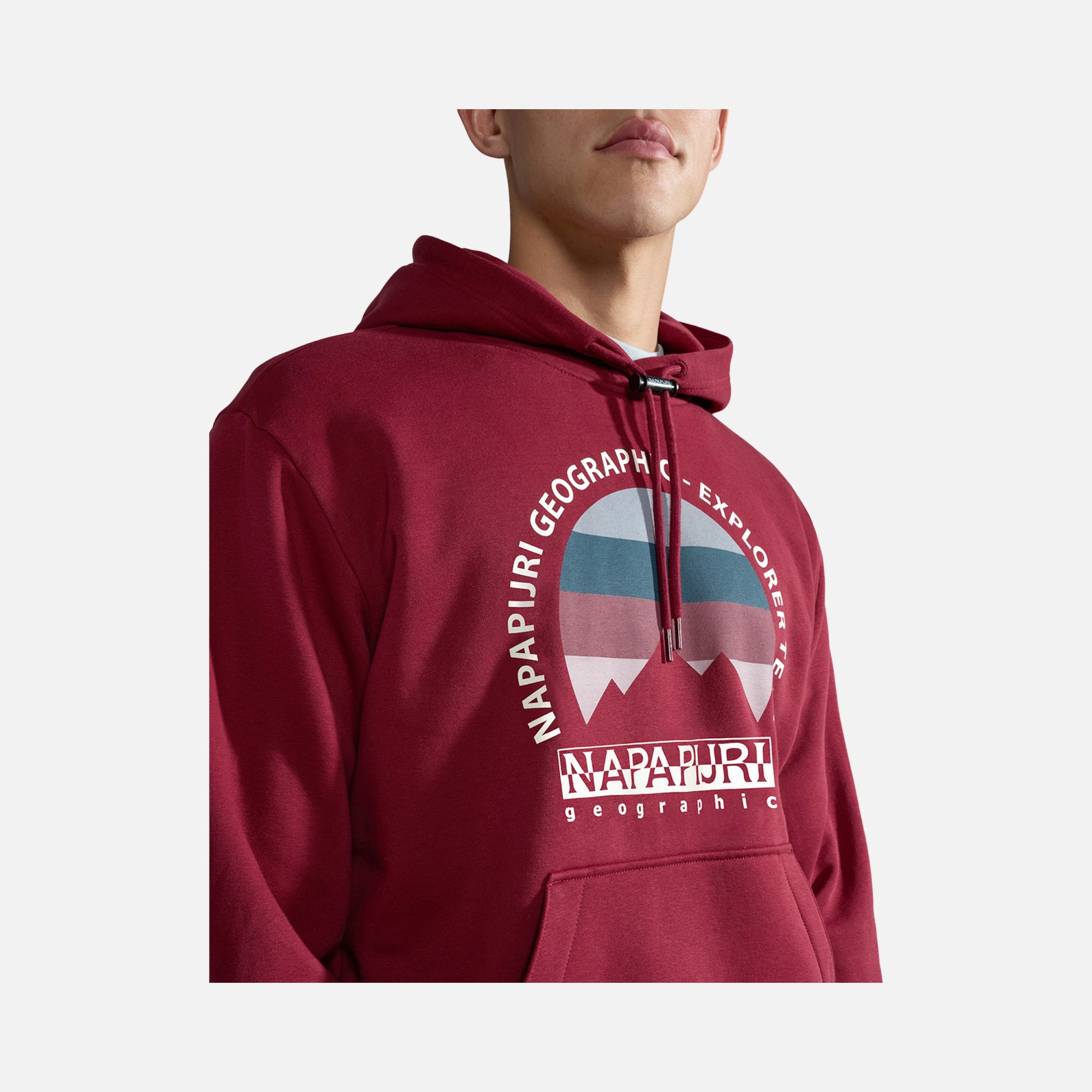 Napapijri Sportswear Telemark Hoodie Erkek Sweatshirt