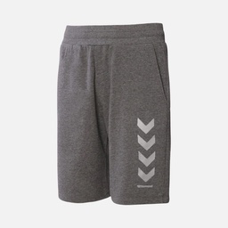 Hummel Kens Regular Training Erkek Şort