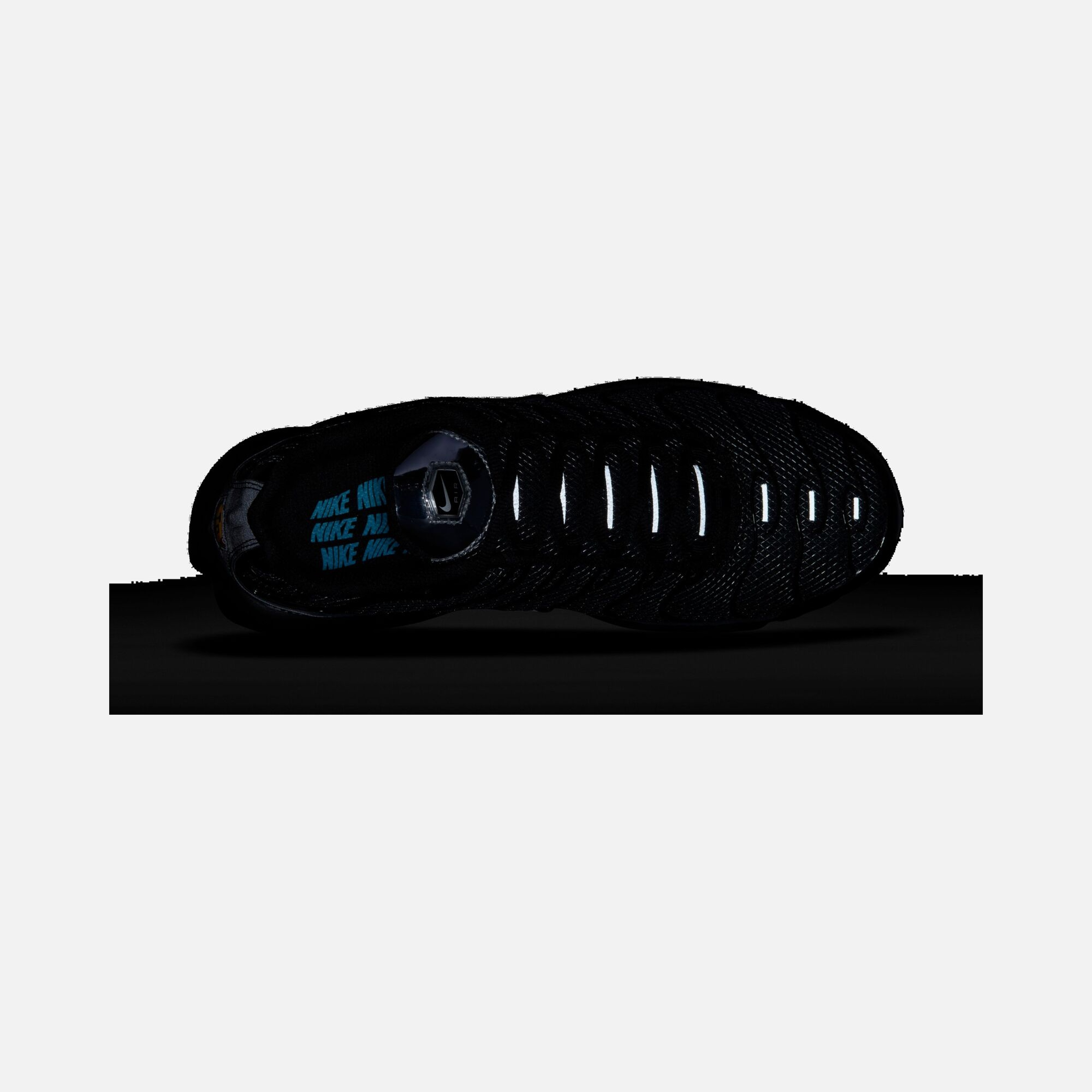 Nike Air Max Plus ''Metallic Details'' Kadın Spor Ayakkabı