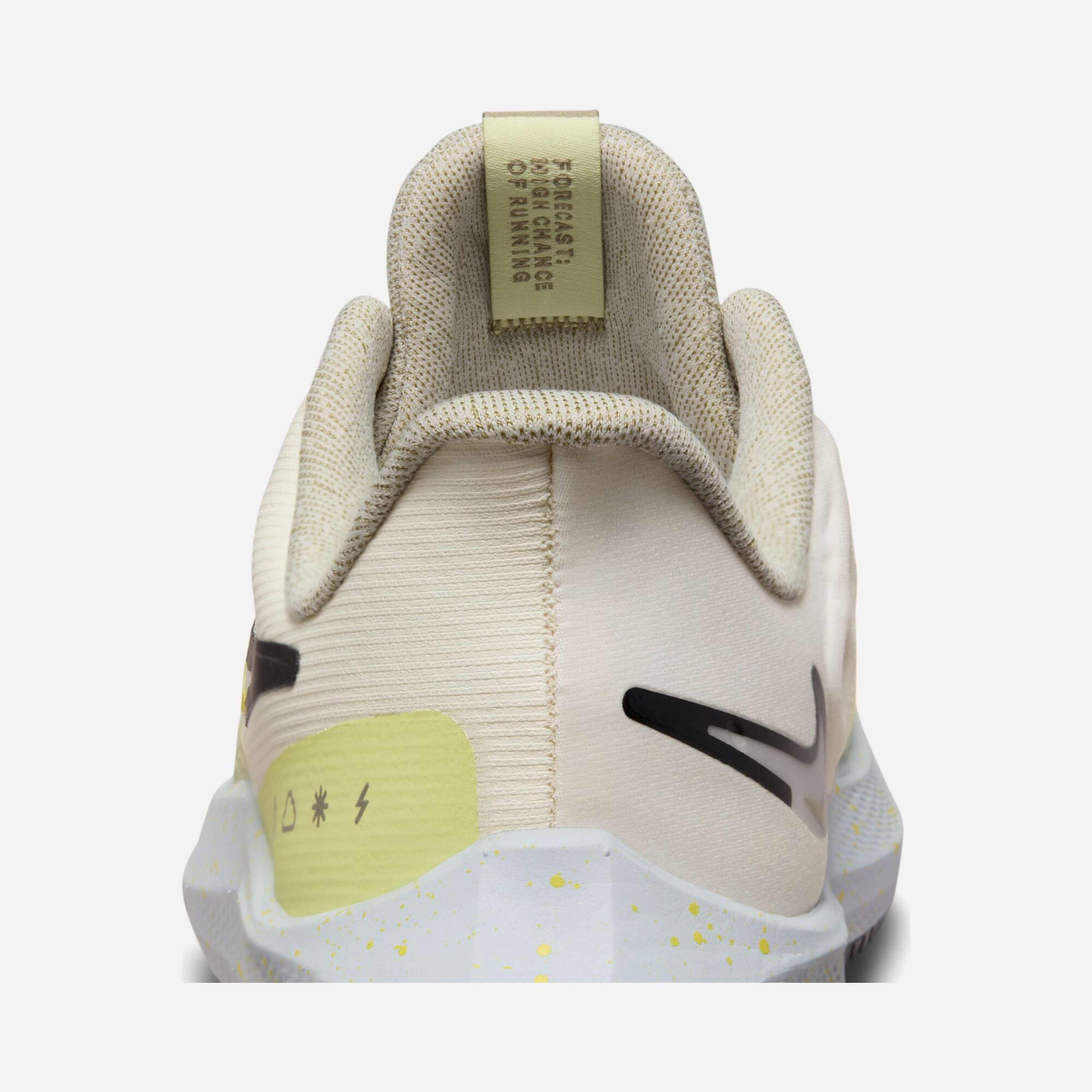 Nike Air Zoom Pegasus 39 Shield Weatherised Road Running Kadın Spor Ayakkabı