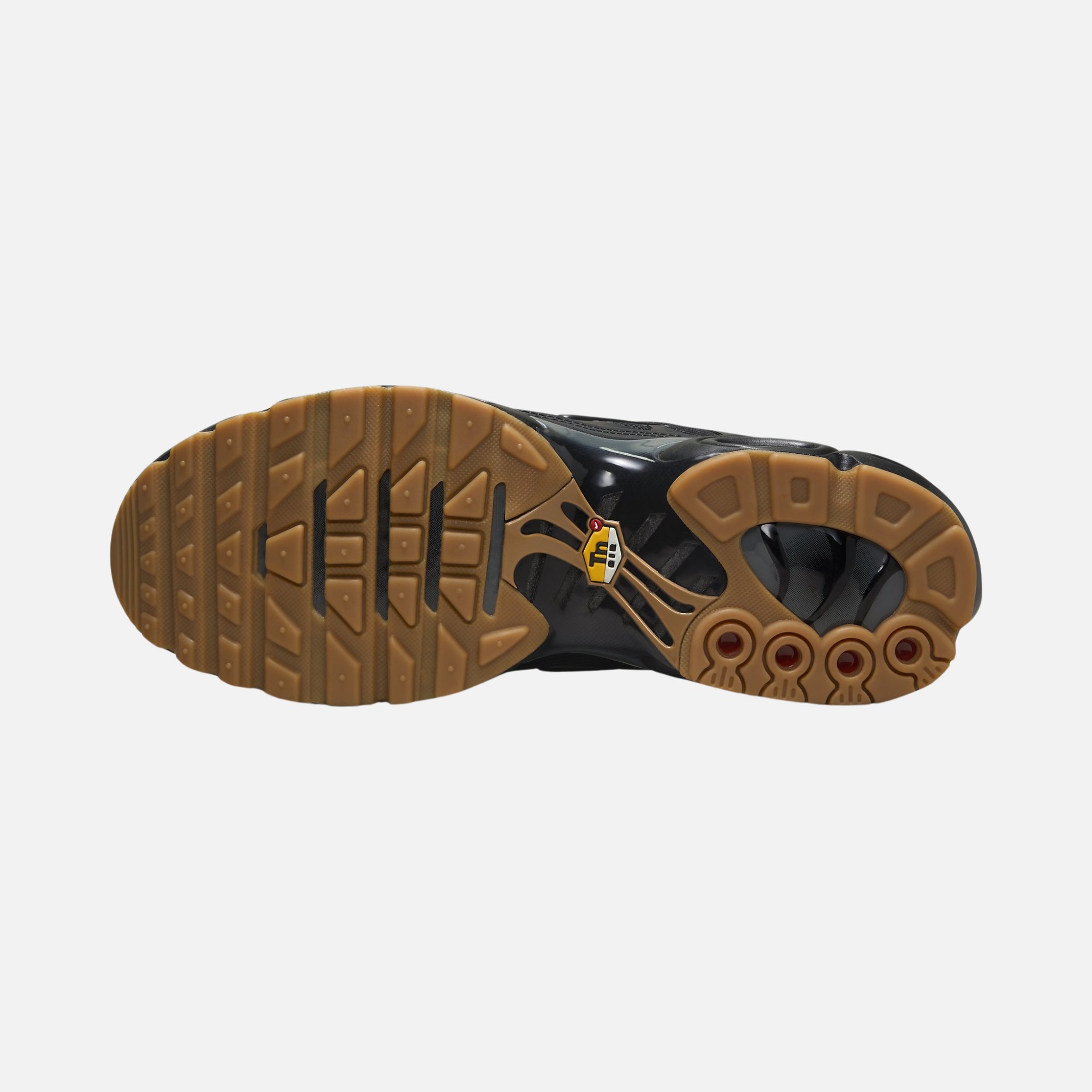 Nike Air Max Plus HO23 Erkek Spor Ayakkabı