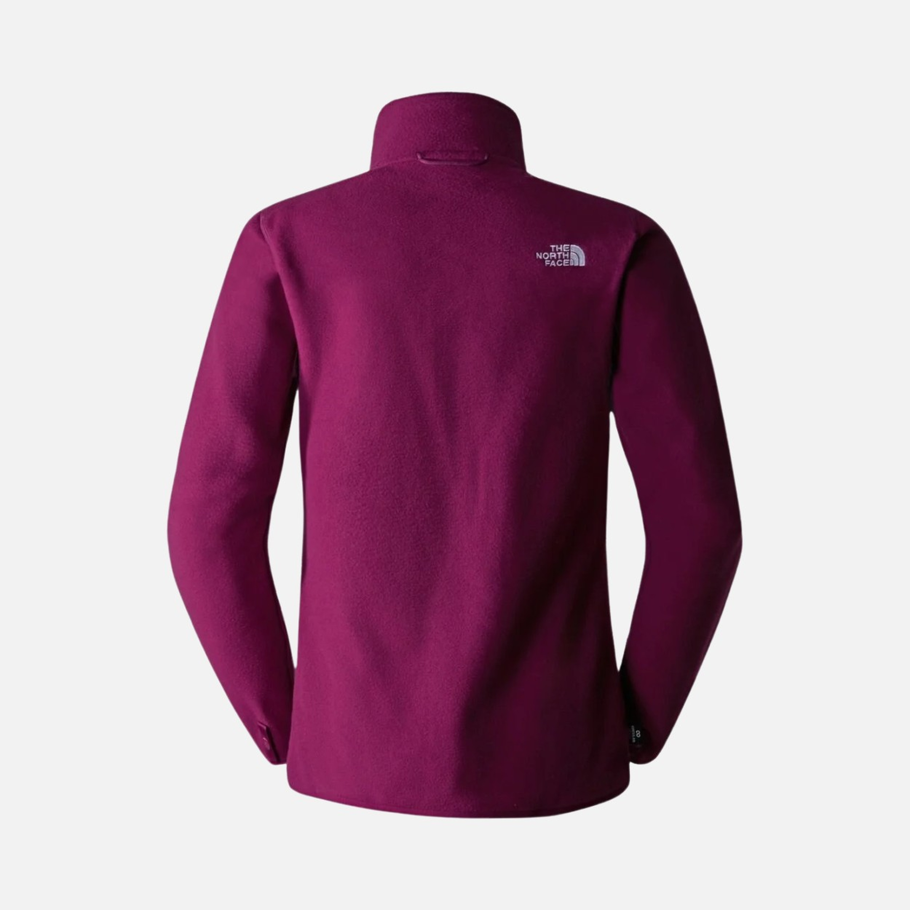 North Face 100 Glacier Fleece Full-Zip Kadın Ceket