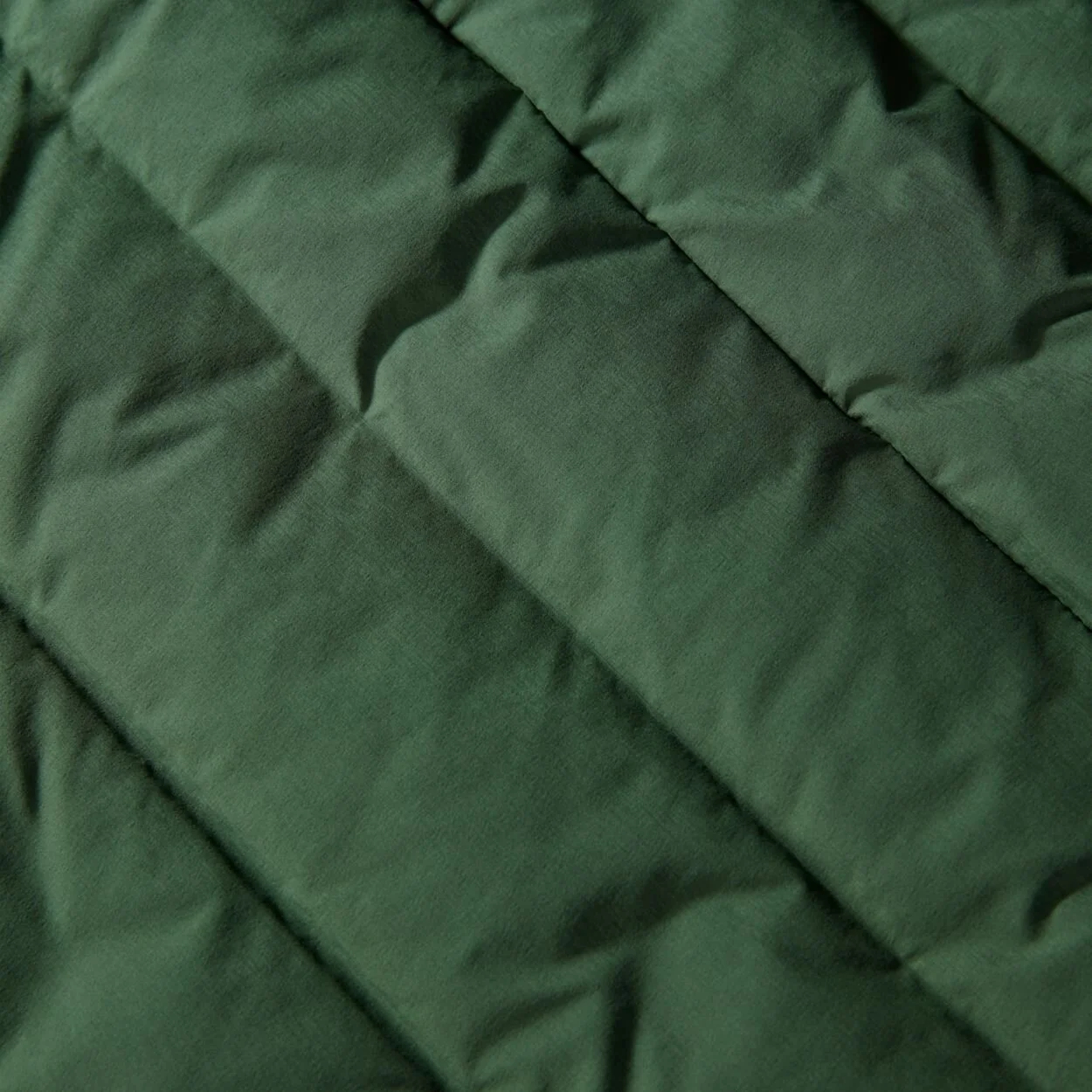 North Face Belleview Stretch Goose Down 600 Full-Zip Erkek Mont