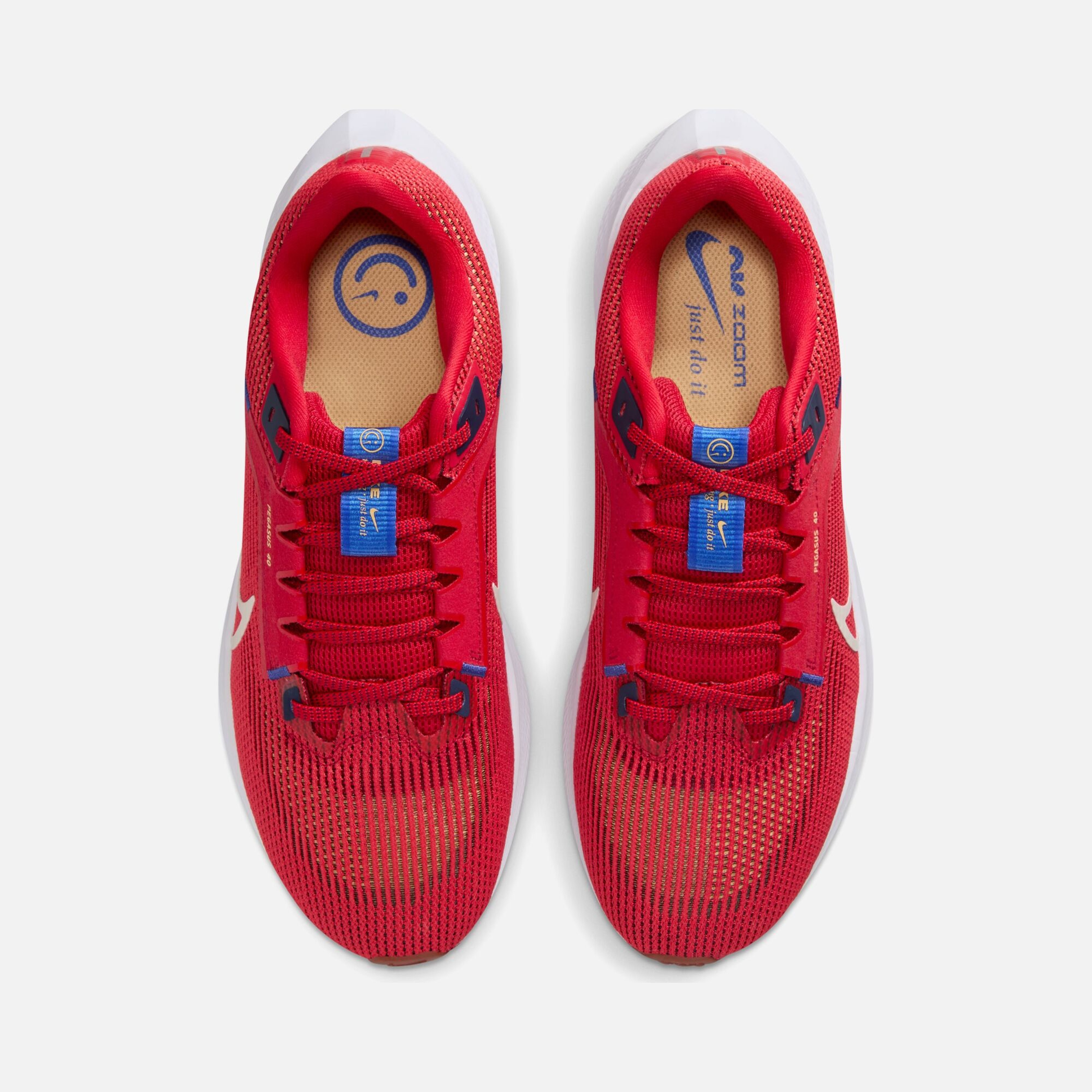 Nike Air Zoom Pegasus 40 Road Running Erkek Spor Ayakkabı