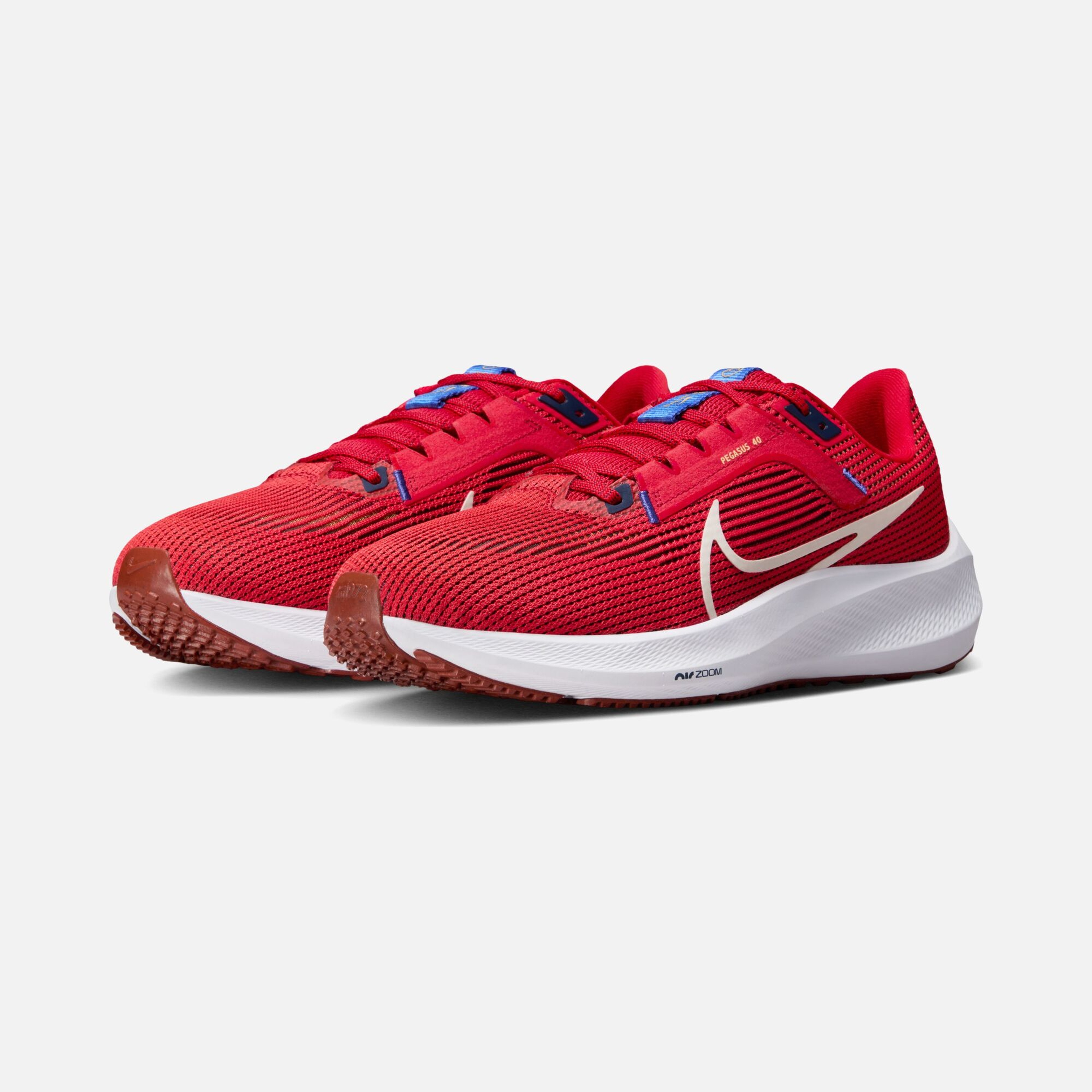 Nike Air Zoom Pegasus 40 Road Running Erkek Spor Ayakkabı