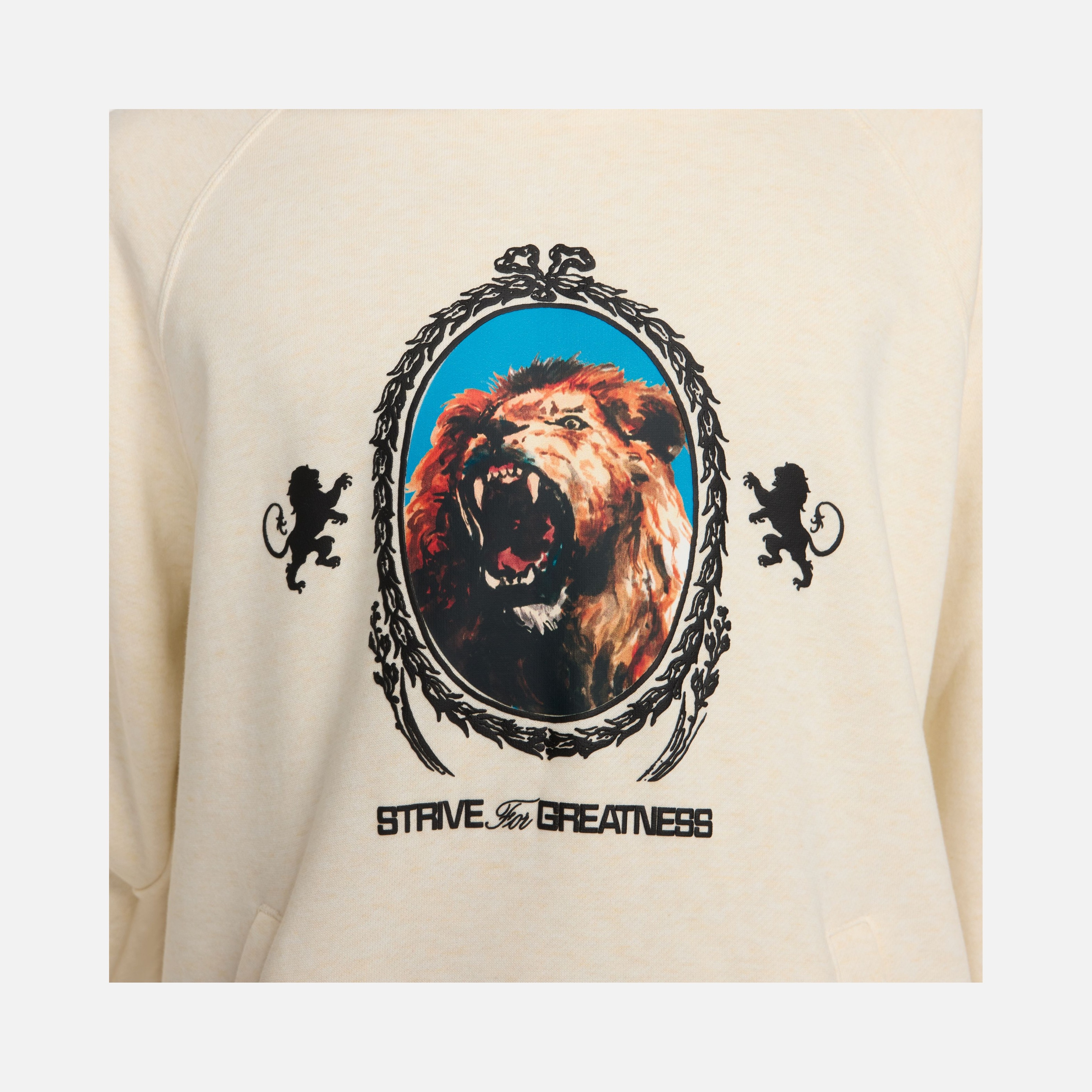 Nike LeBron James Brush Pullover Fleece Hoodie Erkek Sweatshirt