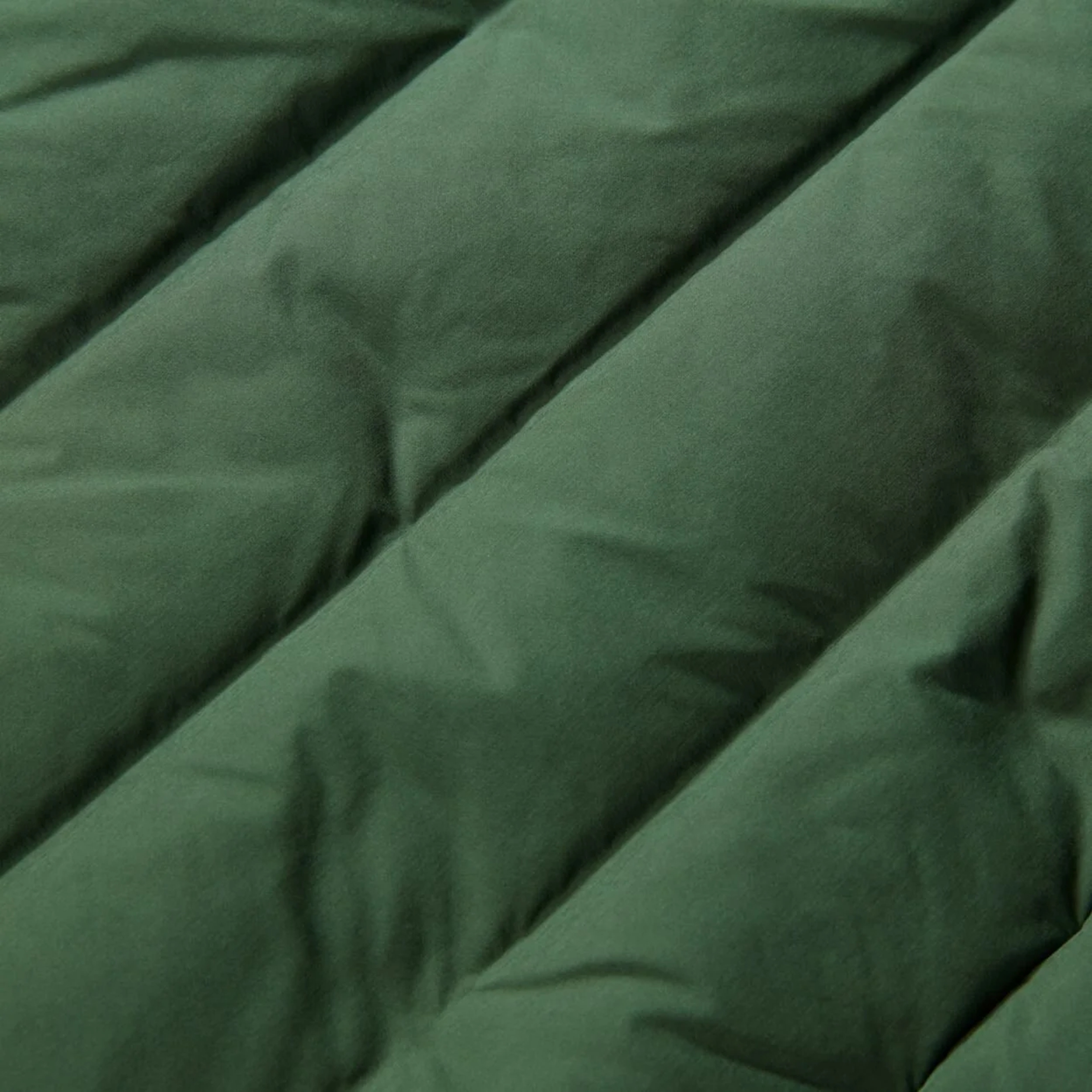 North Face Belleview Stretch Goose Down 600 Full-Zip Hoodie Erkek Mont