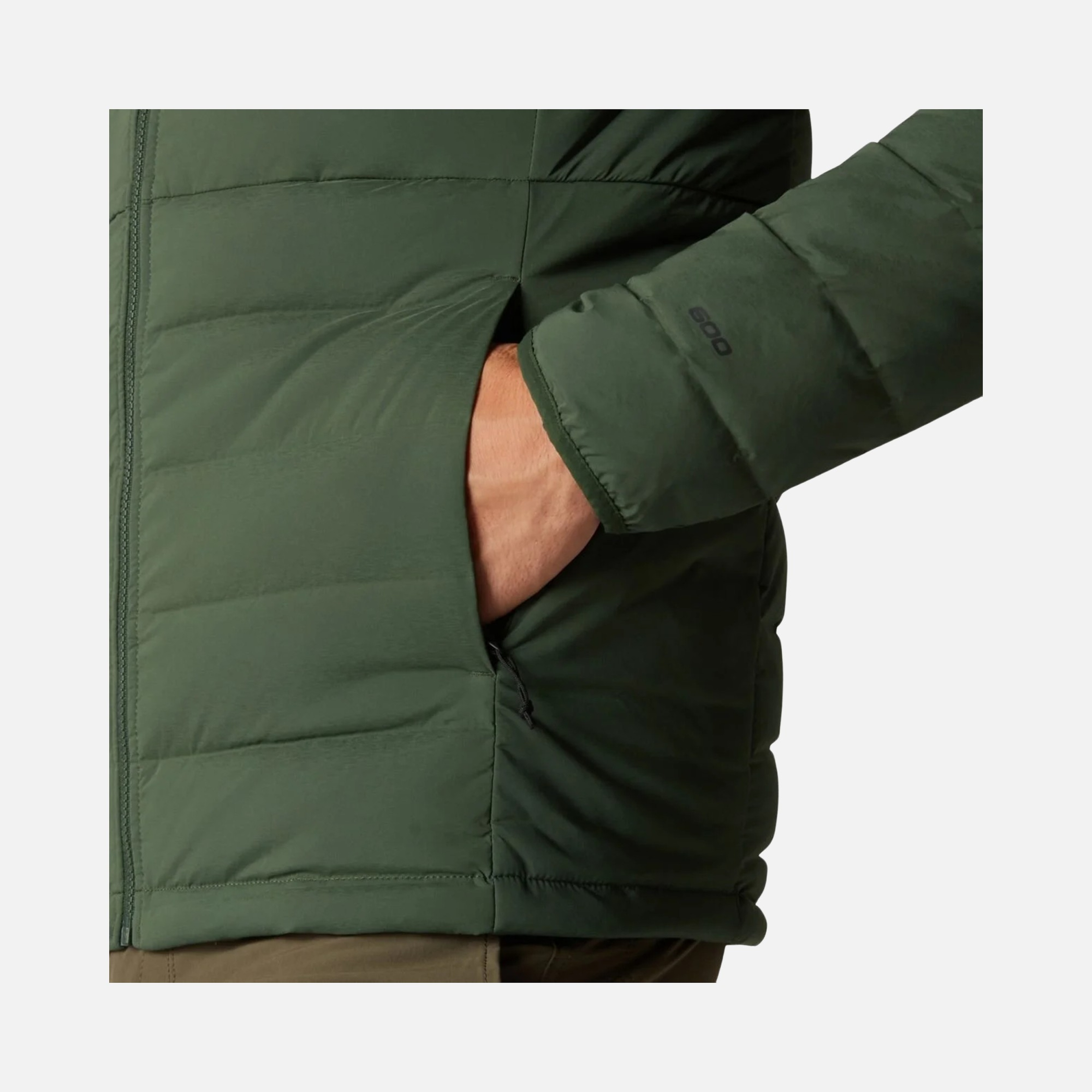 North Face Belleview Stretch Goose Down 600 Full-Zip Hoodie Erkek Mont