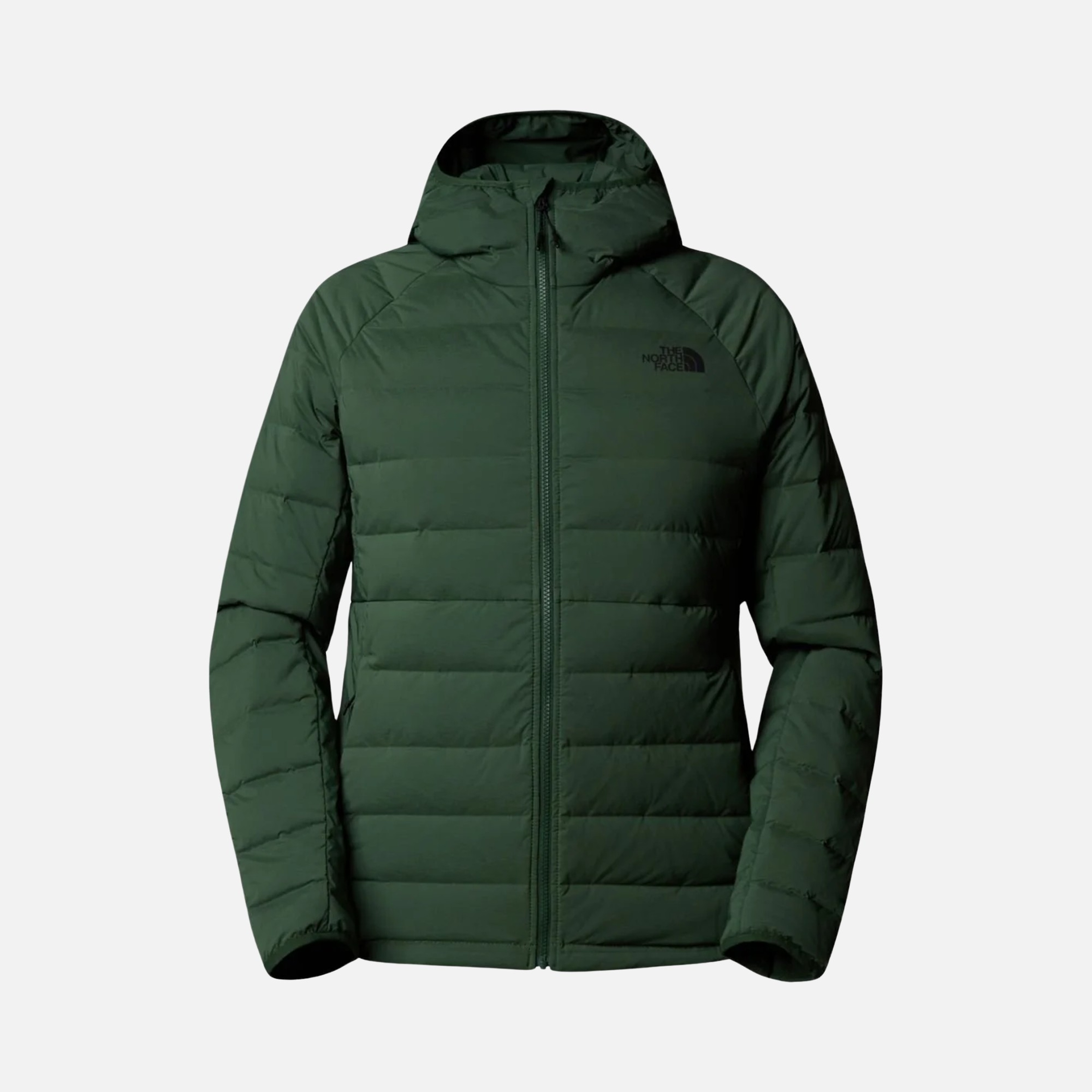 North Face Belleview Stretch Goose Down 600 Full-Zip Hoodie Erkek Mont