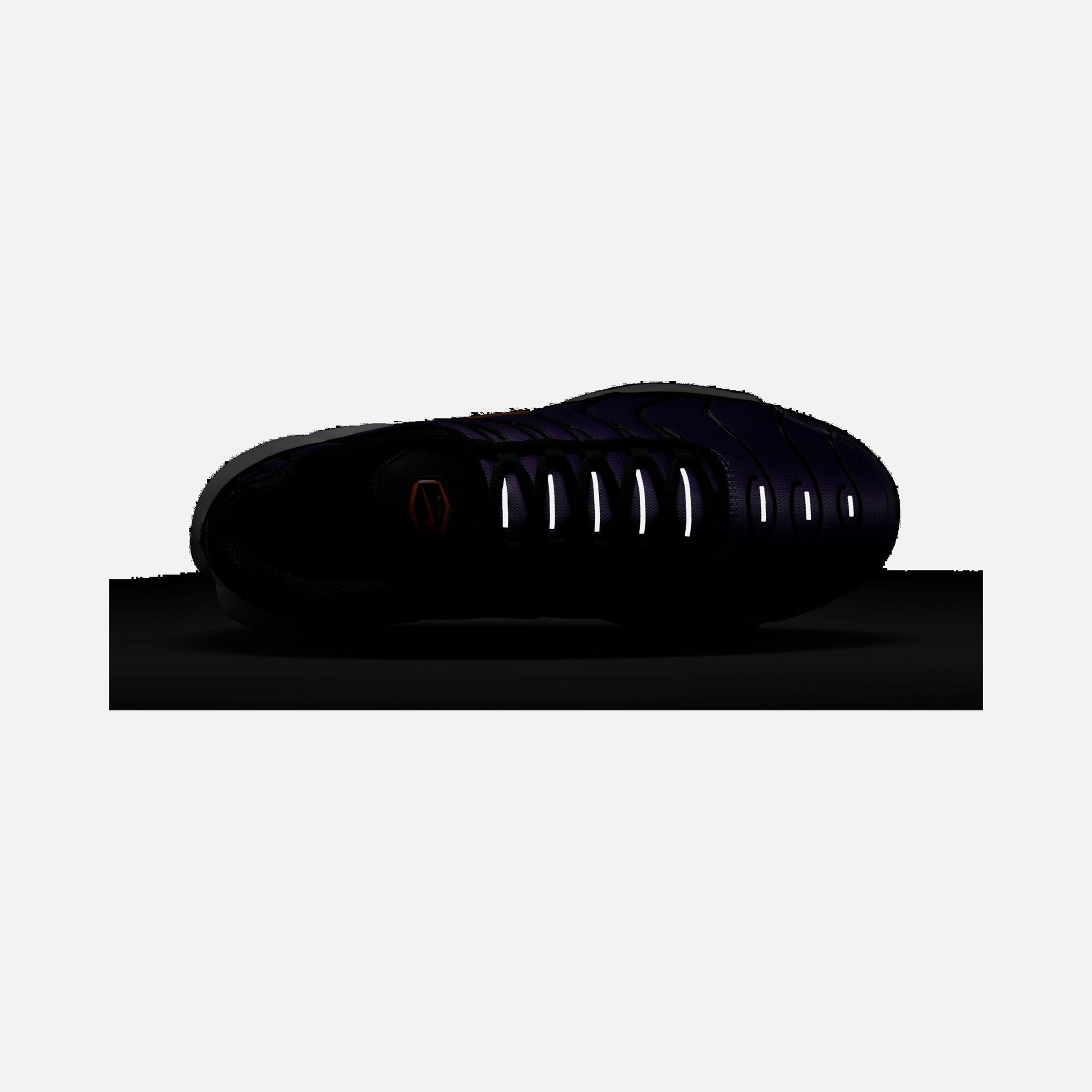 Nike Air Max Plus OG SS25 Erkek Spor Ayakkabı