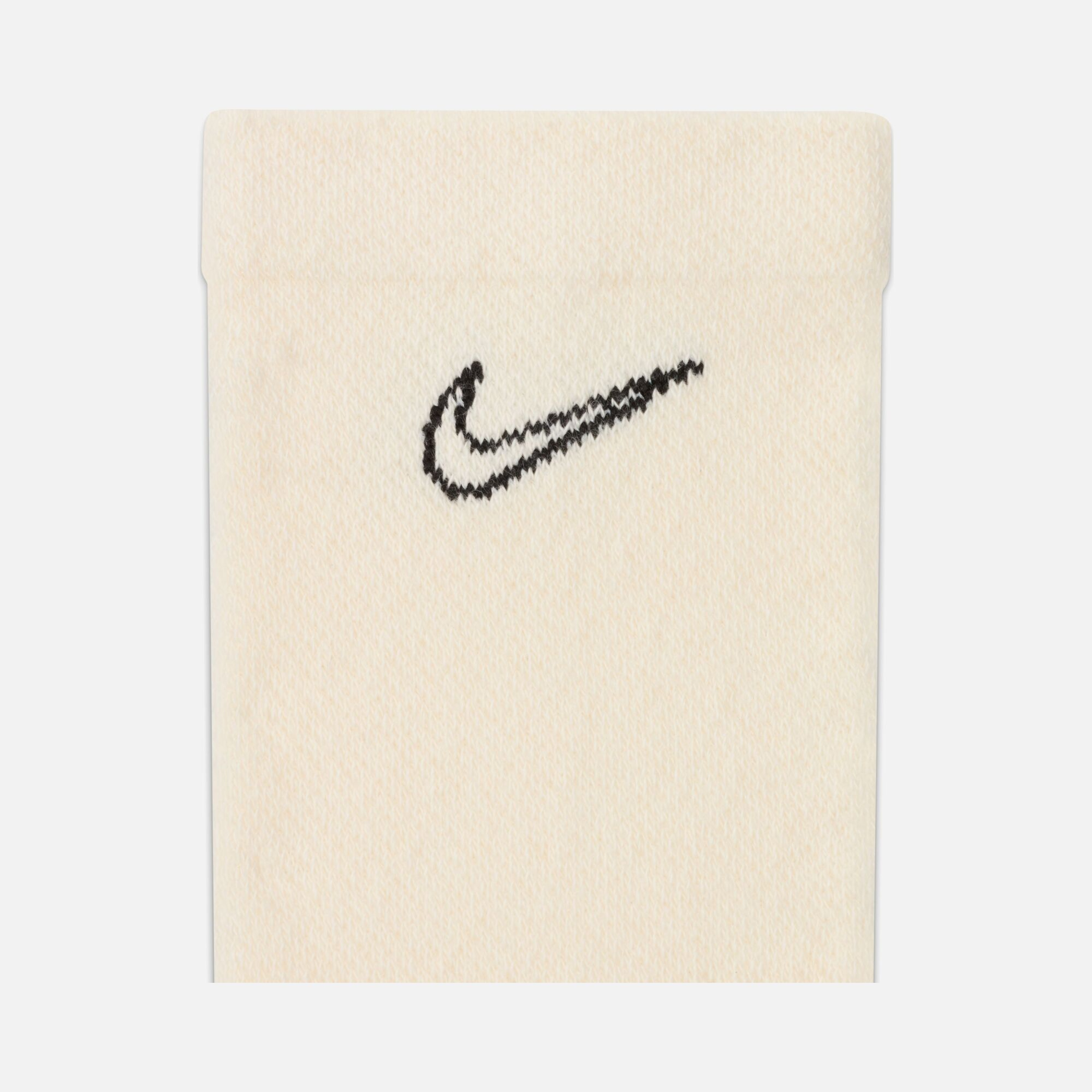 Nike Everyday Plus Embroidered Perf Cushioned Crew 168 Ud (2 Pairs) Training Kadın Çorap