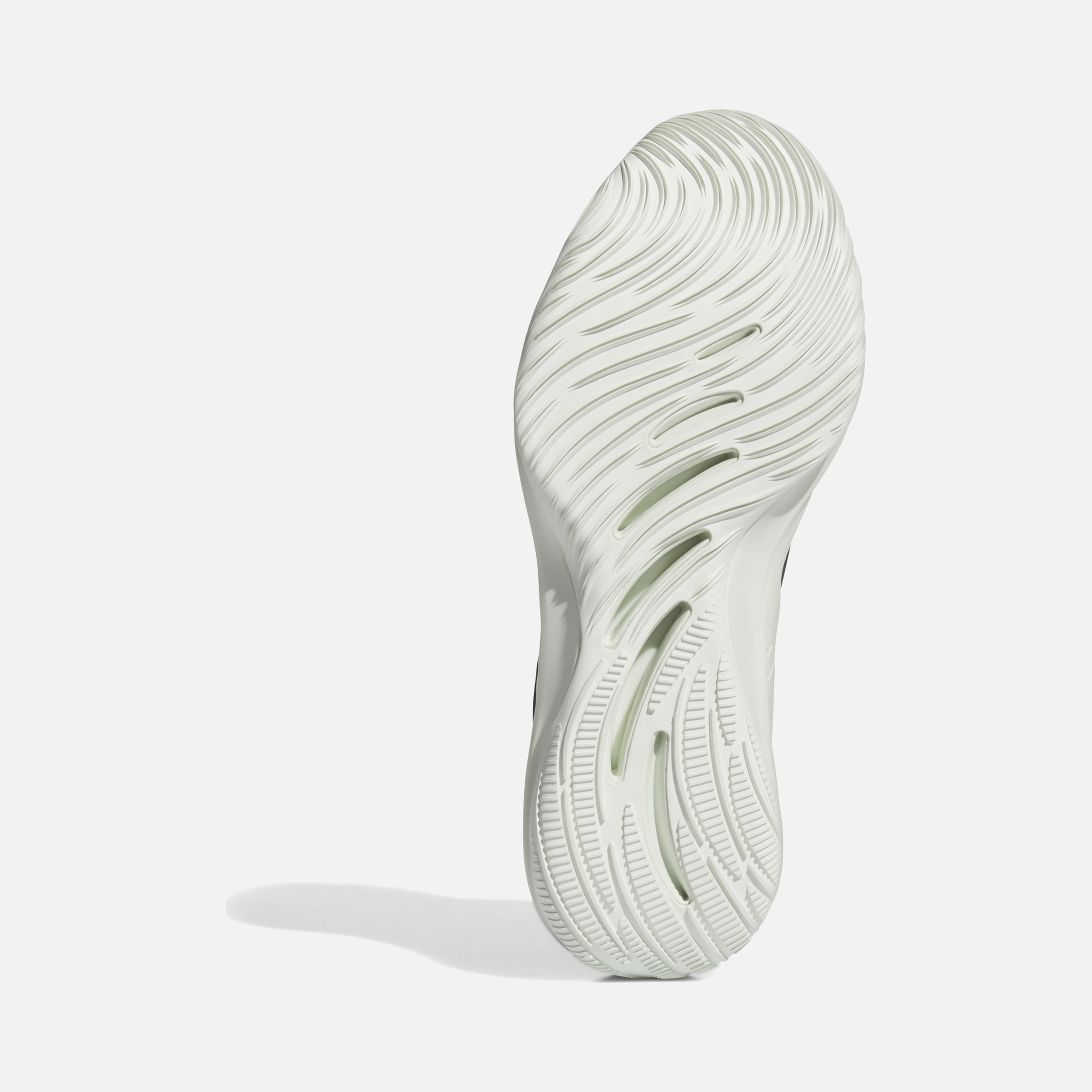 adidas Adizero Select 2.0 Erkek Basketball Ayakkabısı