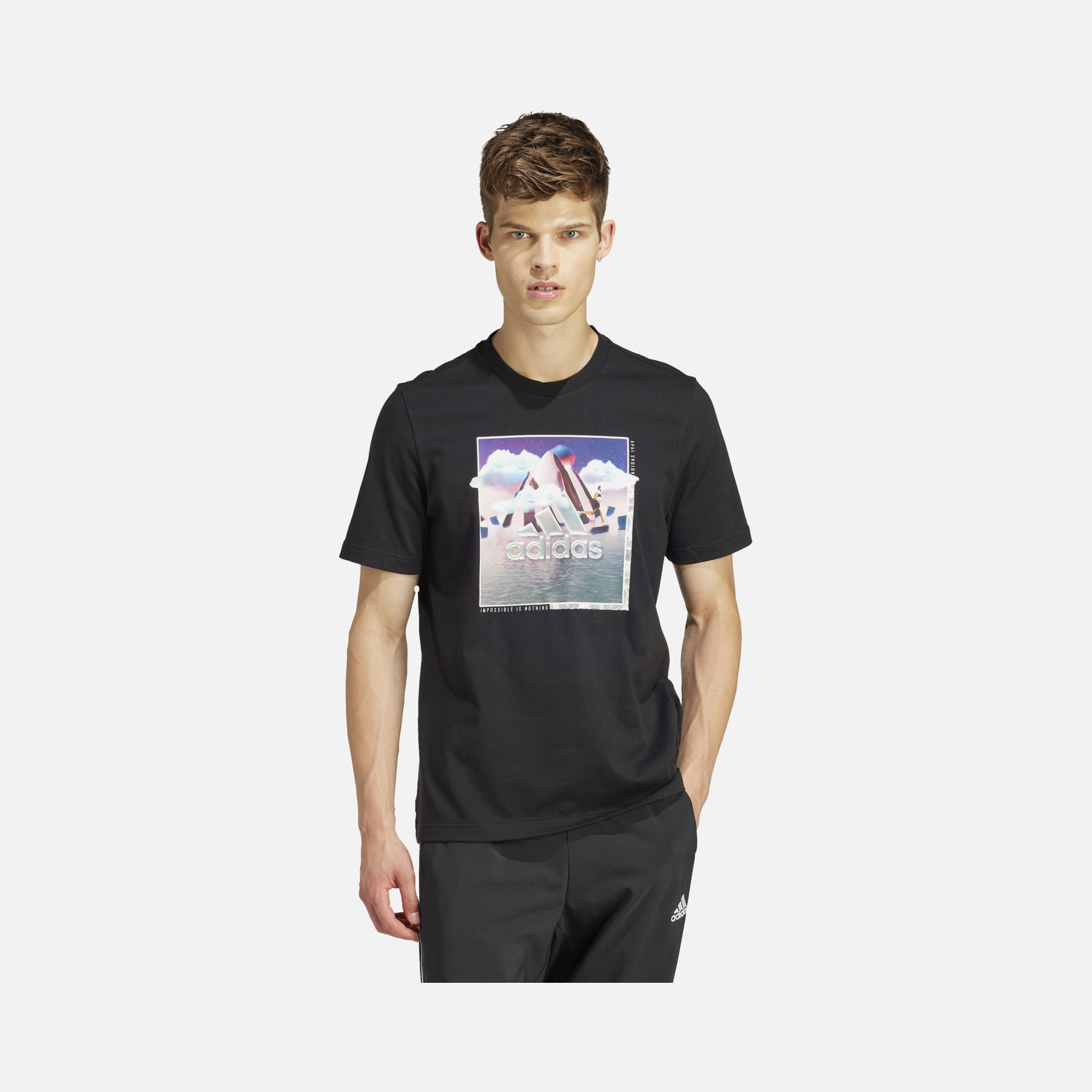 adidas Sportswear Landscape Logo Short-Sleeve Erkek Tişört