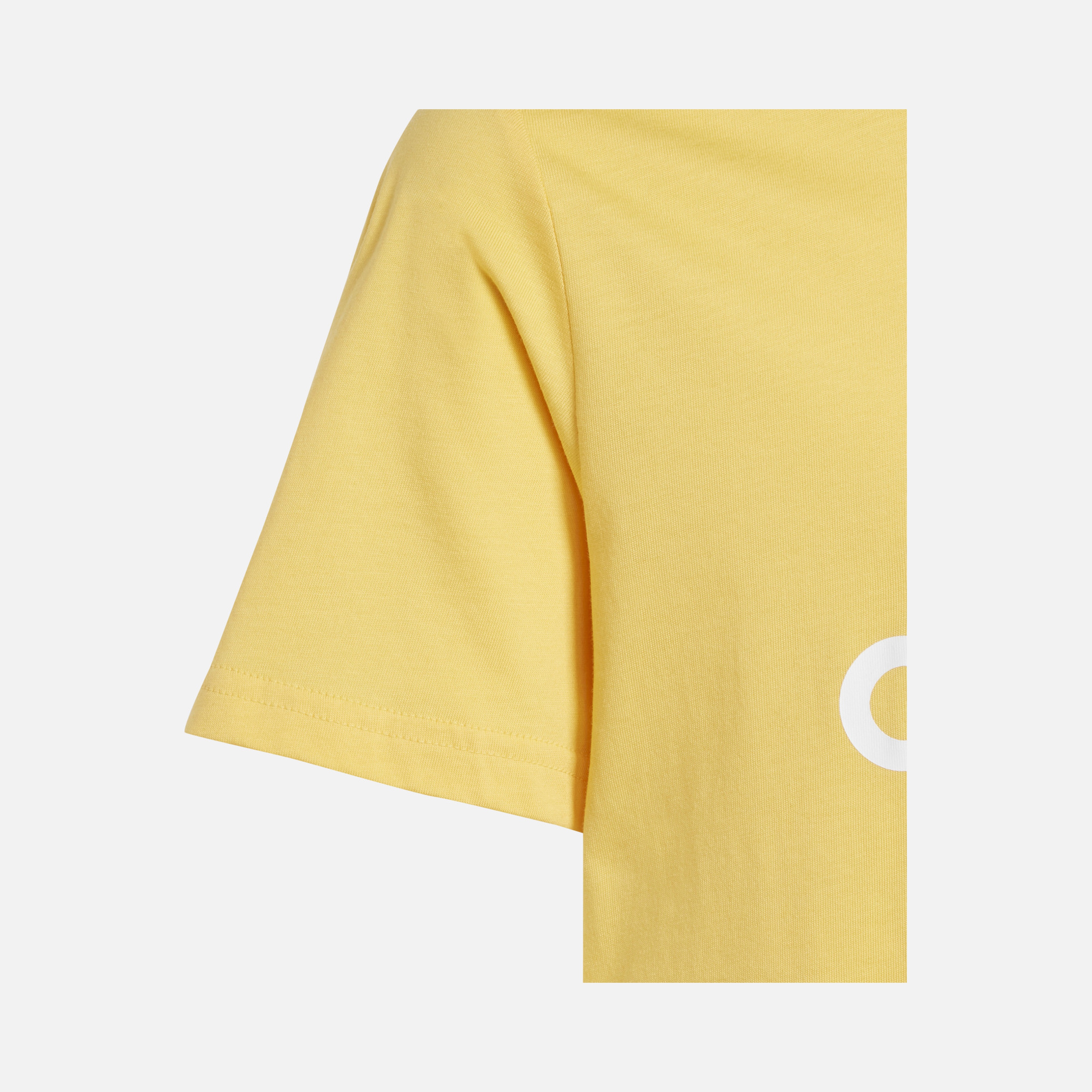 adidas Sportswear Essentials Big Logo Short-Sleeve Çocuk Tişört