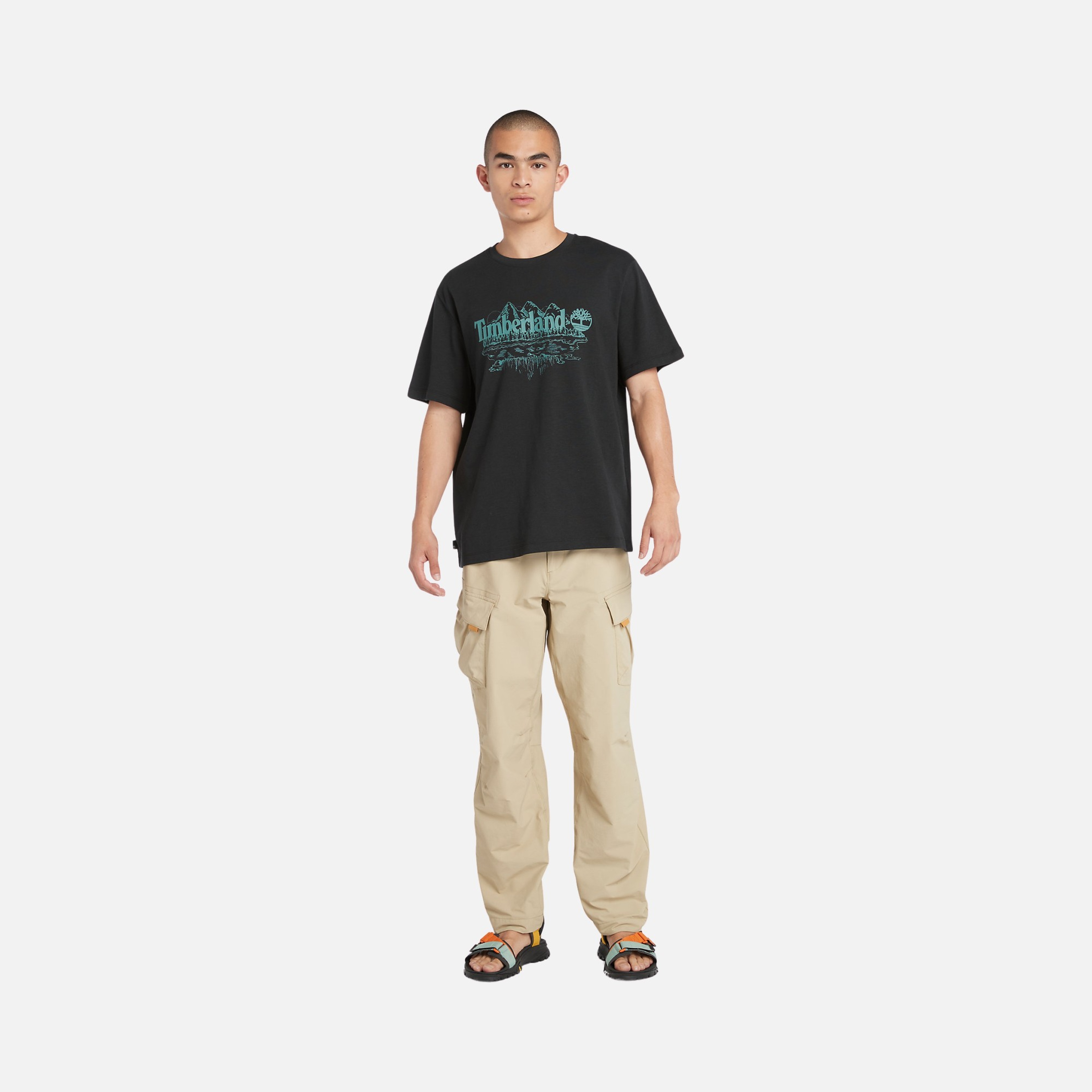 Timberland Sportswear Graphic Slub Tree SS24 Short-Sleeve Erkek Tişört