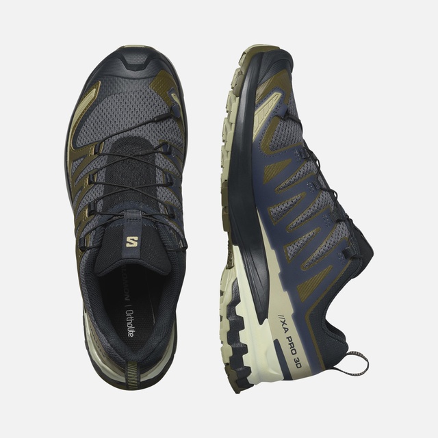 Salomon Gri Salomon Xa Pro 3D V9