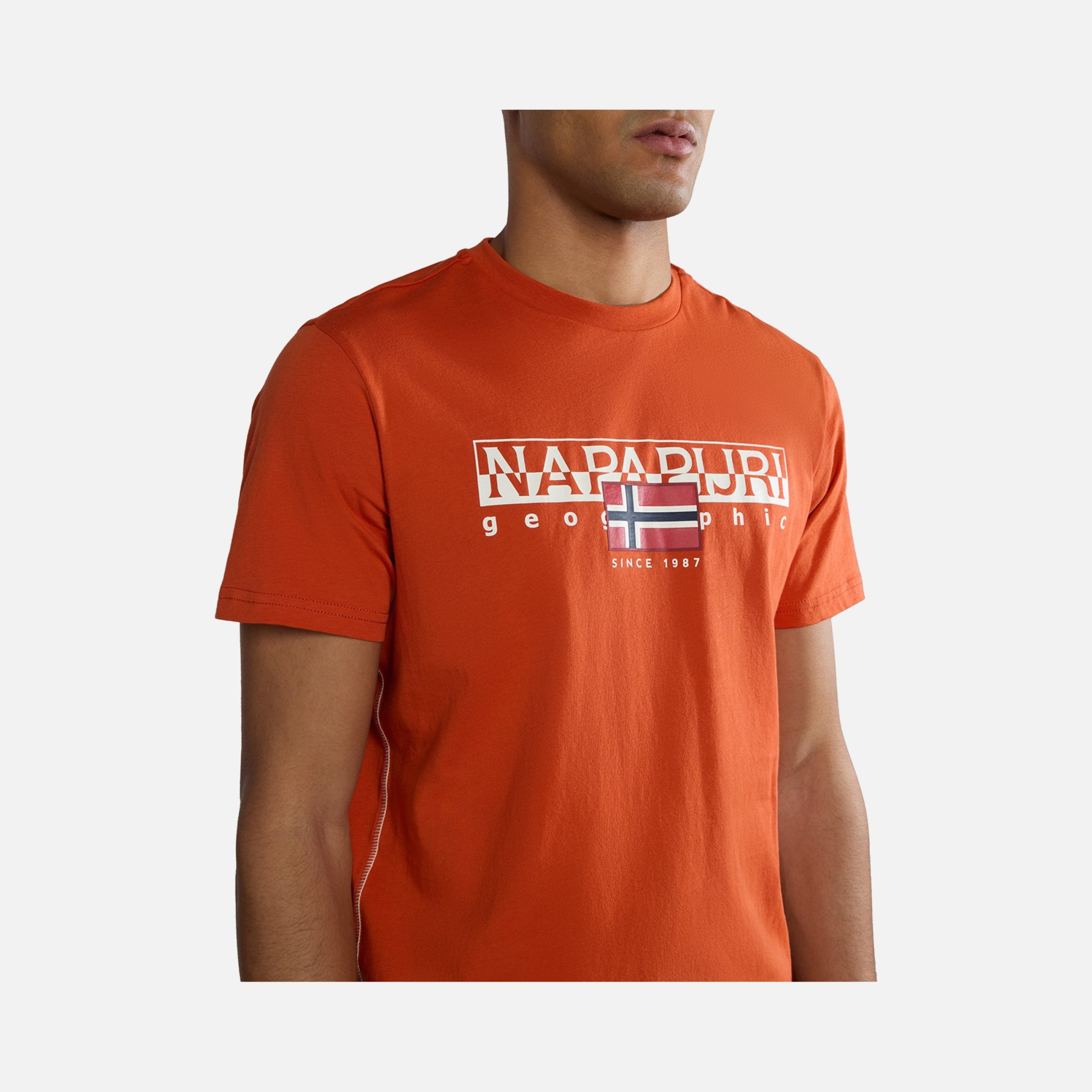 Napapijri Sportswear Aylmer Short-Sleeve Erkek Tişört