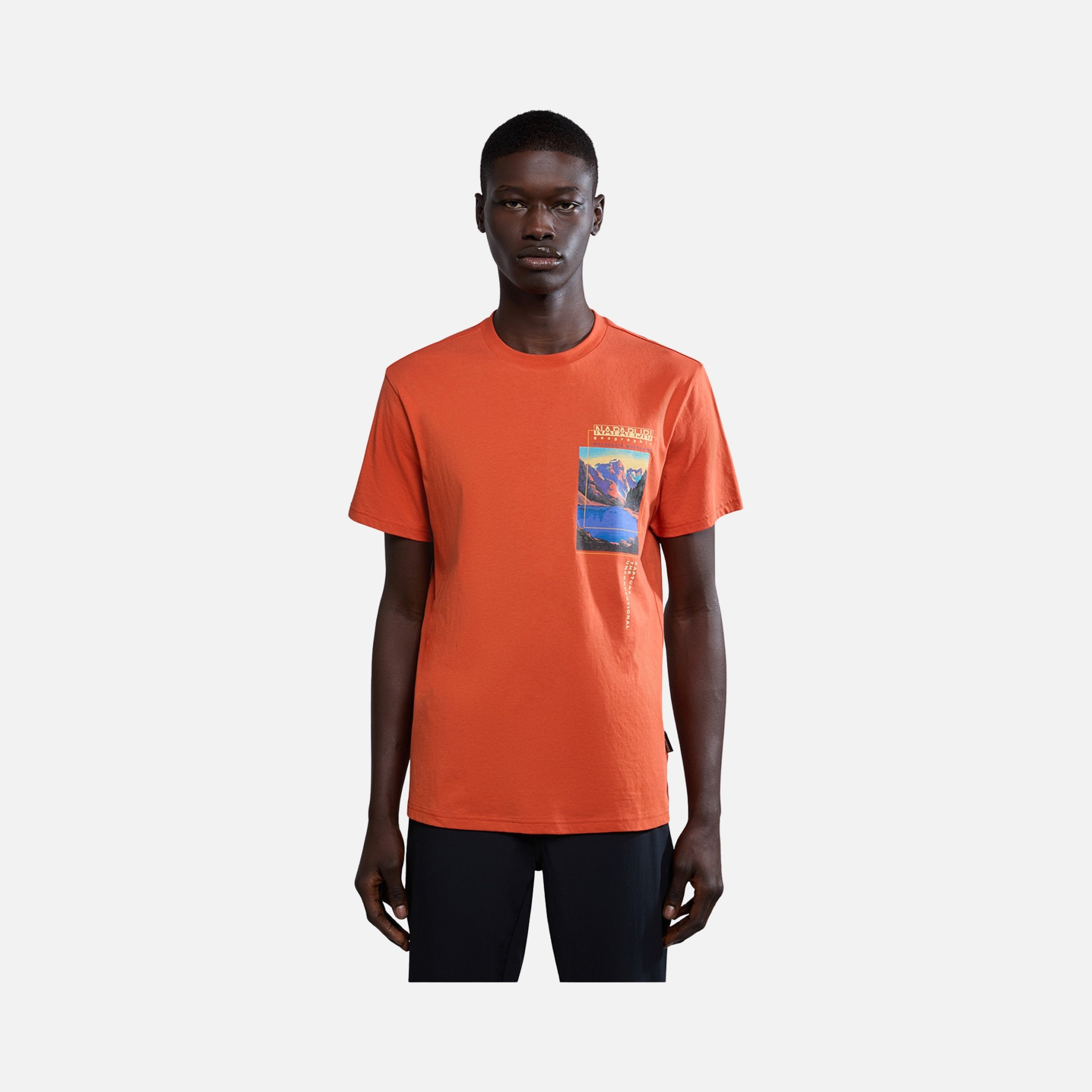 Napapijri Sportswear Canada Graphic Short-Sleeve Erkek Tişört