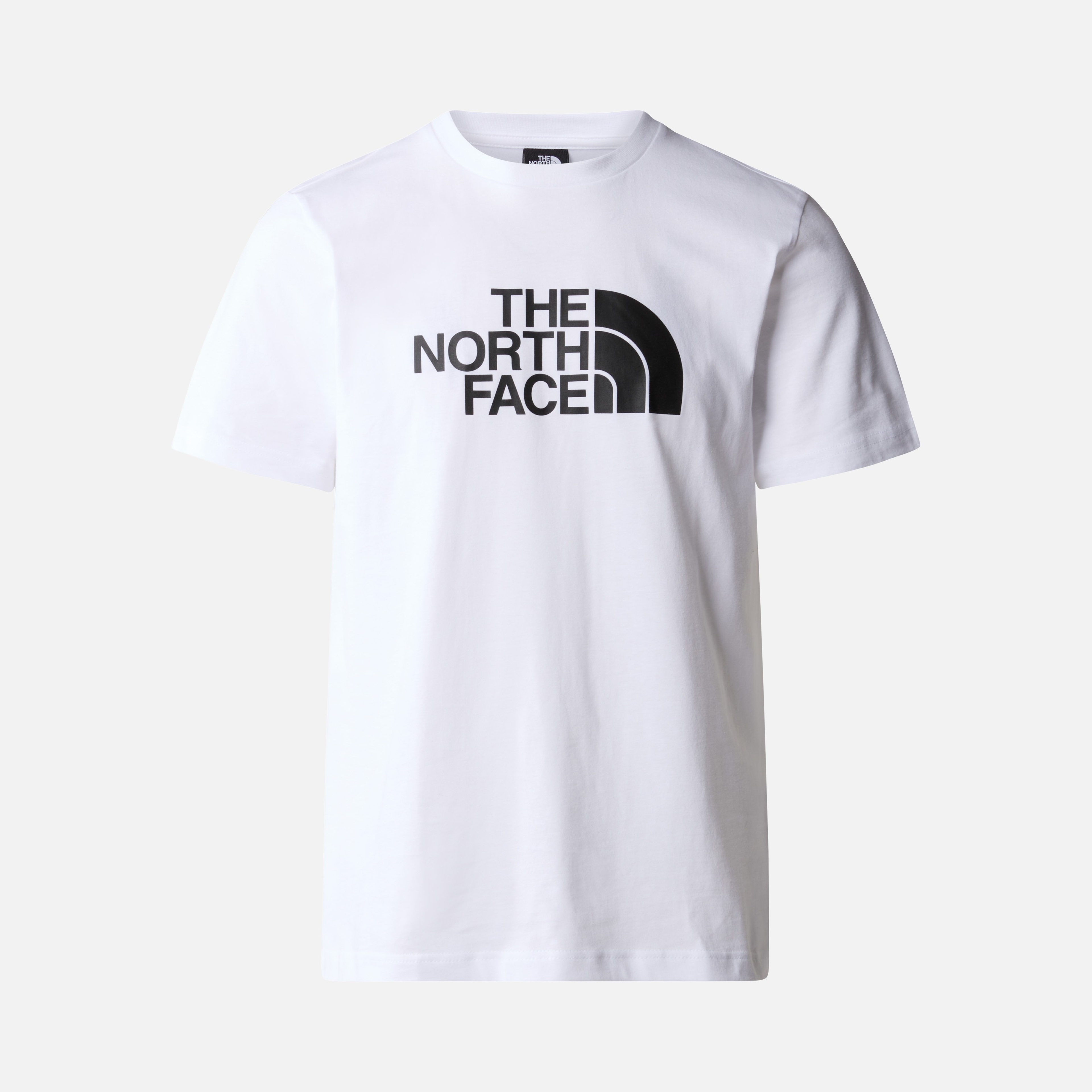 North Face Easy Short-Sleeve Erkek Tişört