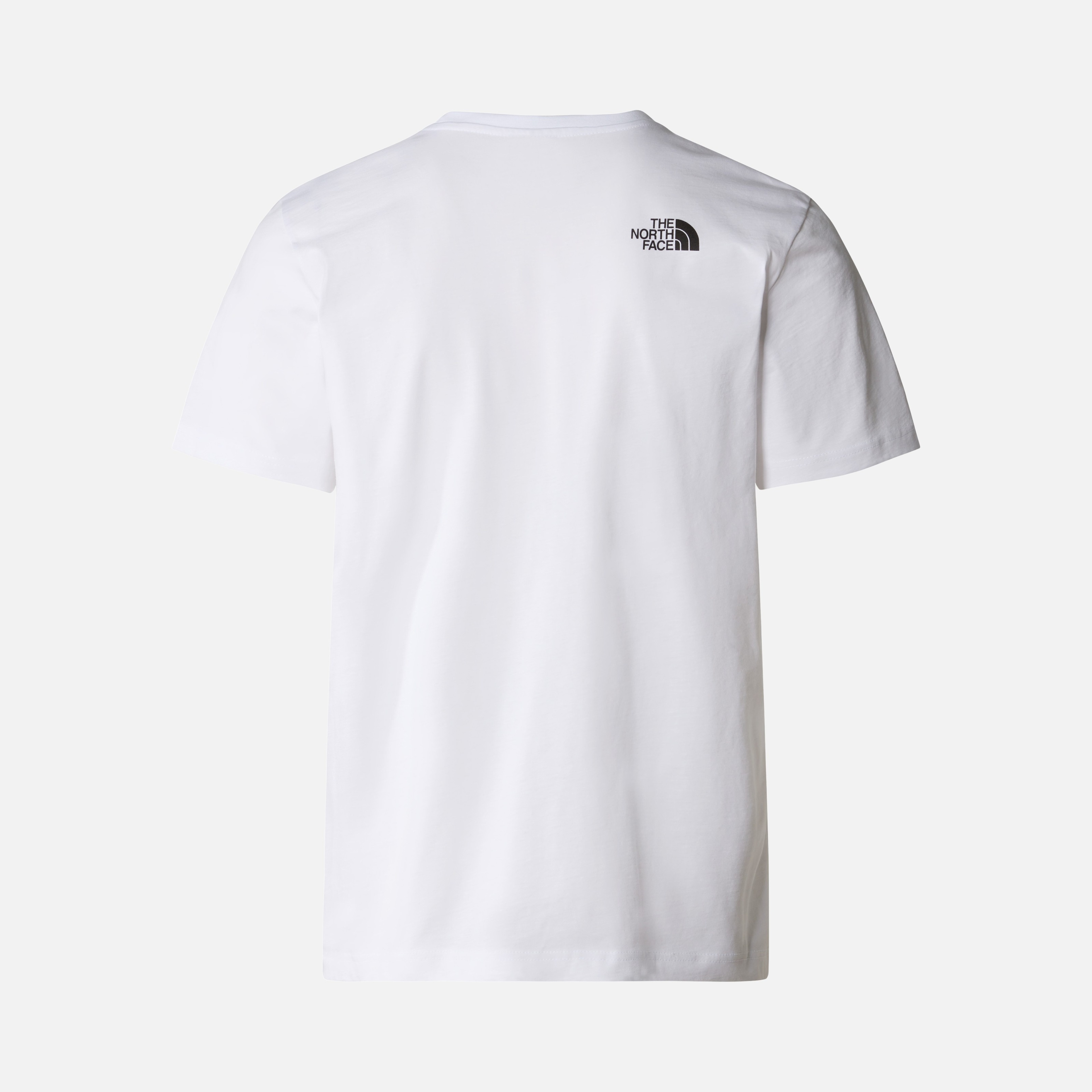 North Face Easy Short-Sleeve Erkek Tişört