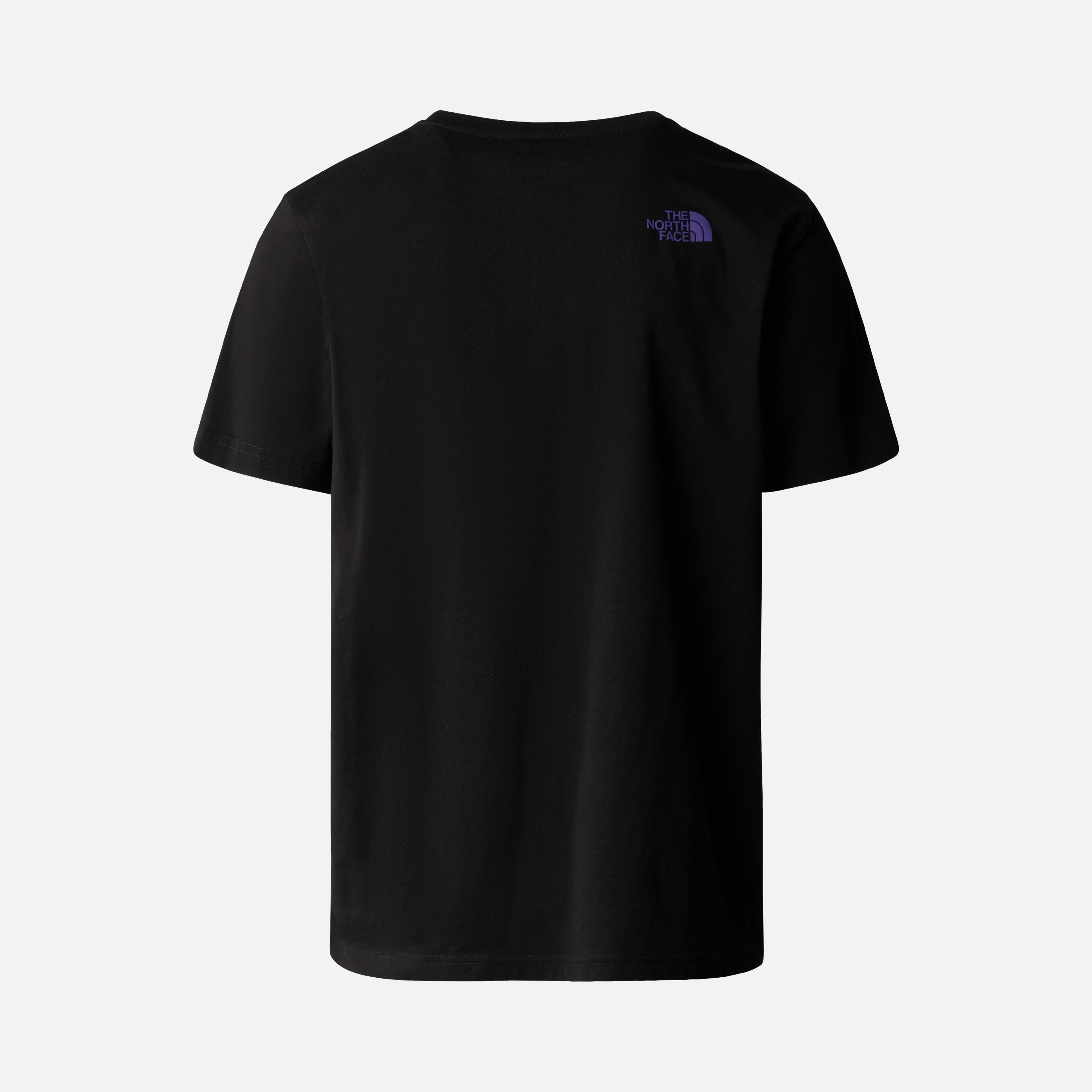 North Face  Rust 2 Never Stop Exploring Graphic Short-Sleeve Erkek Tişört