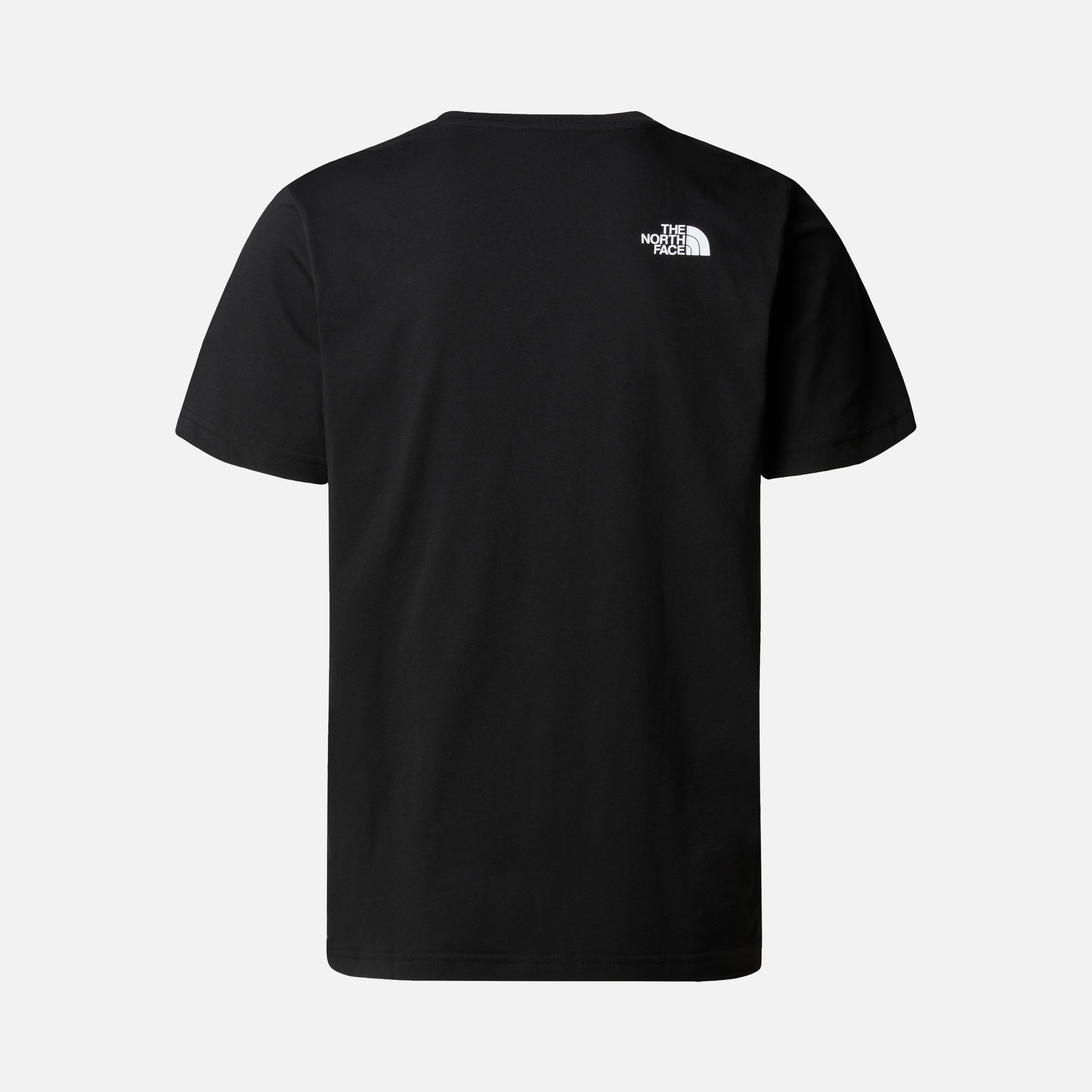 North Face Easy Short-Sleeve Erkek Tişört